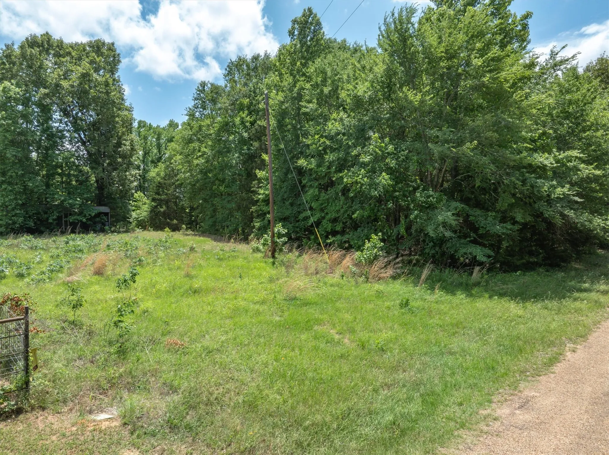 Unimproved Land For Sale in Van Zandt County , TBD VZ COUNTY ROAD 4909, Ben Wheeler, Texas 75754, 0, 0, Garage spaces, 0 Sqft, built in 0, mls#21276376, Real Estate Agent in Ben Wheeler, Homes For Sale in Van Zandt county, Homes For Sale in Ben Wheeler, Realtor in Ben Wheeler Texas, Real Estate Brokerage Independent Realty Texas, Luminita Cordes Realtor