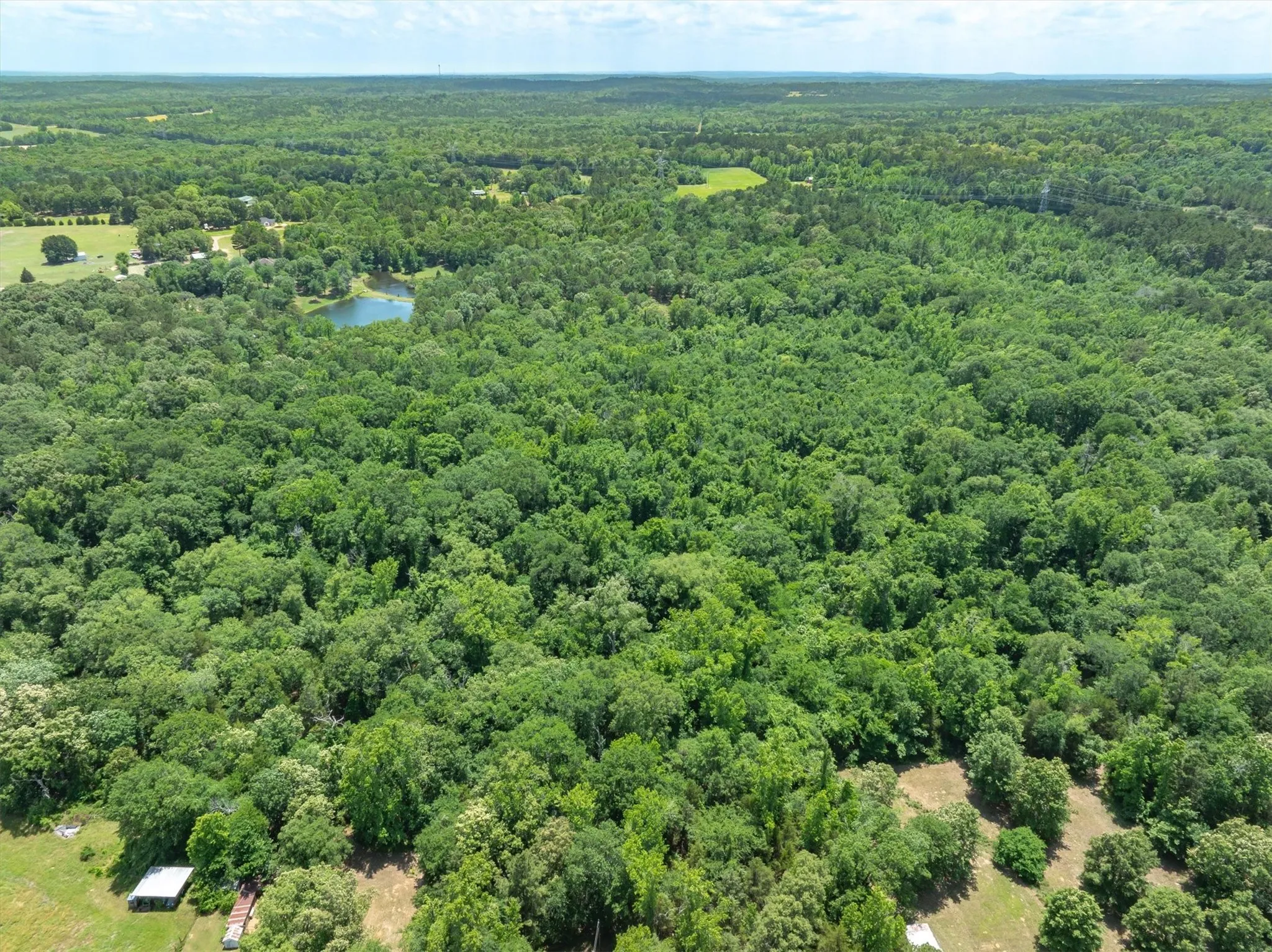 Unimproved Land For Sale in Van Zandt County , TBD VZ COUNTY ROAD 4909, Ben Wheeler, Texas 75754, 0, 0, Garage spaces, 0 Sqft, built in 0, mls#21276376, Real Estate Agent in Ben Wheeler, Homes For Sale in Van Zandt county, Homes For Sale in Ben Wheeler, Realtor in Ben Wheeler Texas, Real Estate Brokerage Independent Realty Texas, Luminita Cordes Realtor