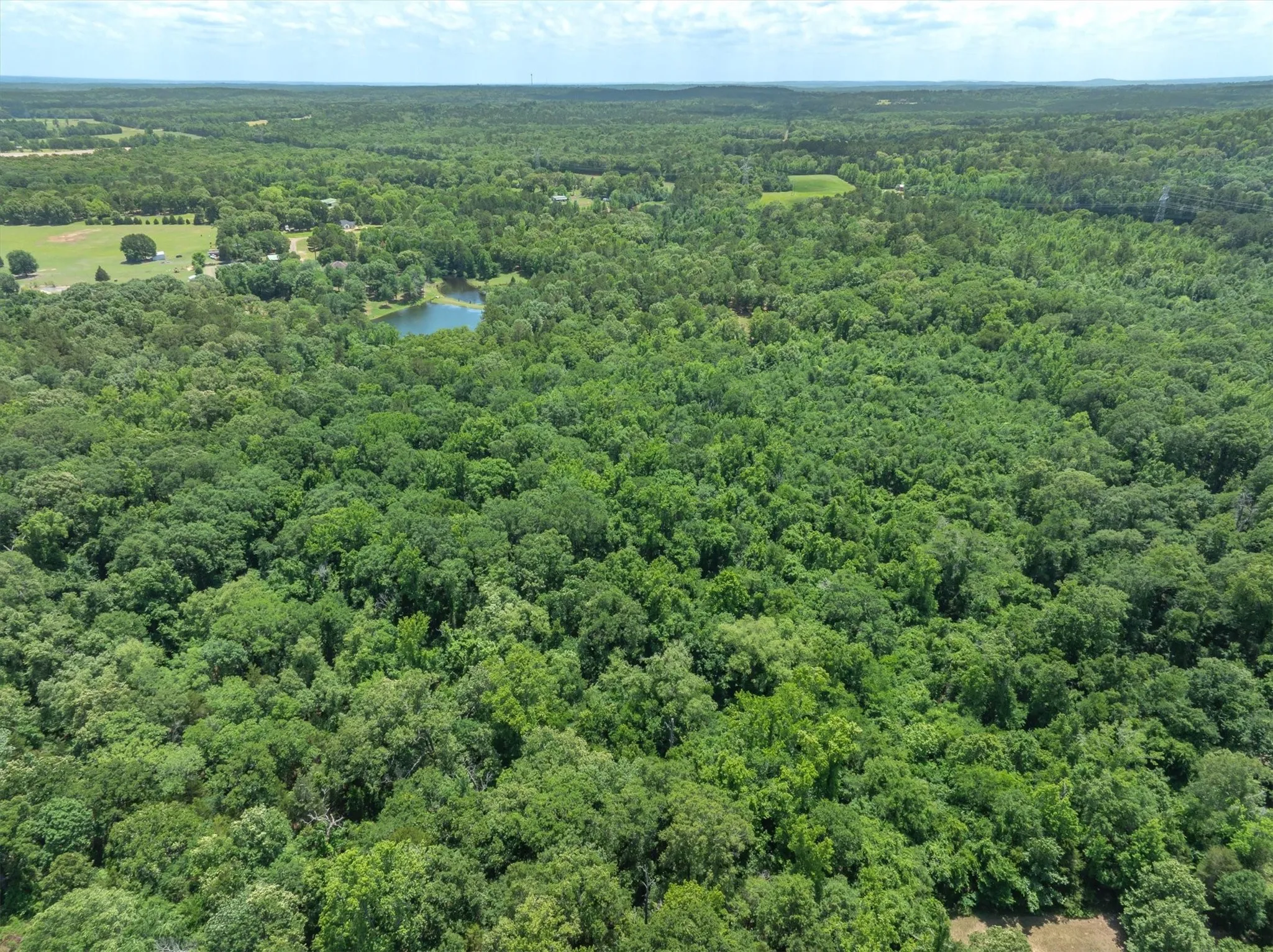Unimproved Land For Sale in Van Zandt County , TBD VZ COUNTY ROAD 4909, Ben Wheeler, Texas 75754, 0, 0, Garage spaces, 0 Sqft, built in 0, mls#21276376, Real Estate Agent in Ben Wheeler, Homes For Sale in Van Zandt county, Homes For Sale in Ben Wheeler, Realtor in Ben Wheeler Texas, Real Estate Brokerage Independent Realty Texas, Luminita Cordes Realtor
