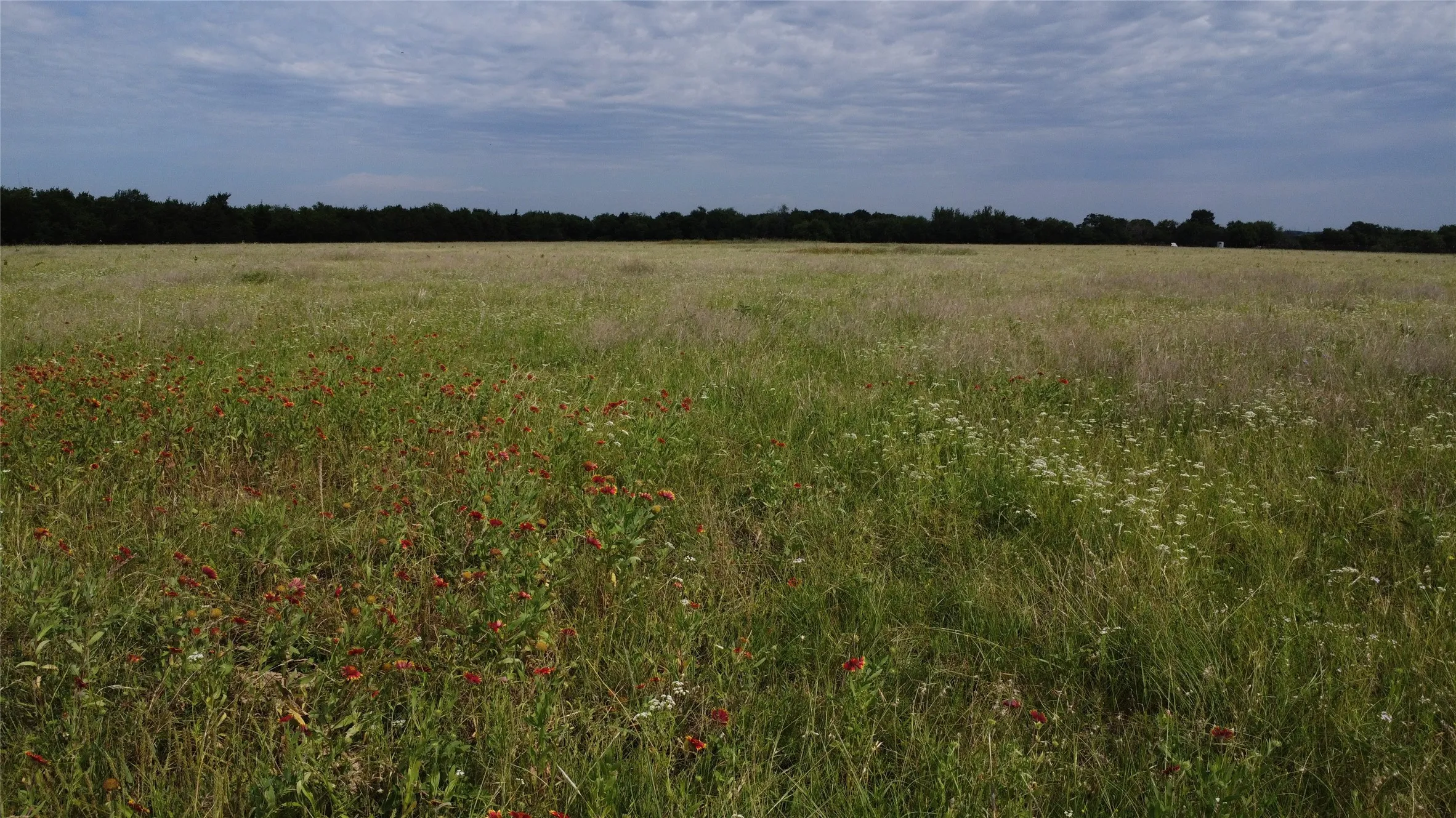 Unimproved Land For Sale in Ellis County , 0000 S Hampton Road, Oak Leaf, Texas 75154, 0, 0, Garage spaces, 0 Sqft, built in 0, Price $832,800, mls#21275546, Real Estate Agent in Oak Leaf, Homes For Sale in Ellis county, Homes For Sale in Oak Leaf, Realtor in Oak Leaf Texas, Real Estate Brokerage Independent Realty Texas, Luminita Cordes Realtor