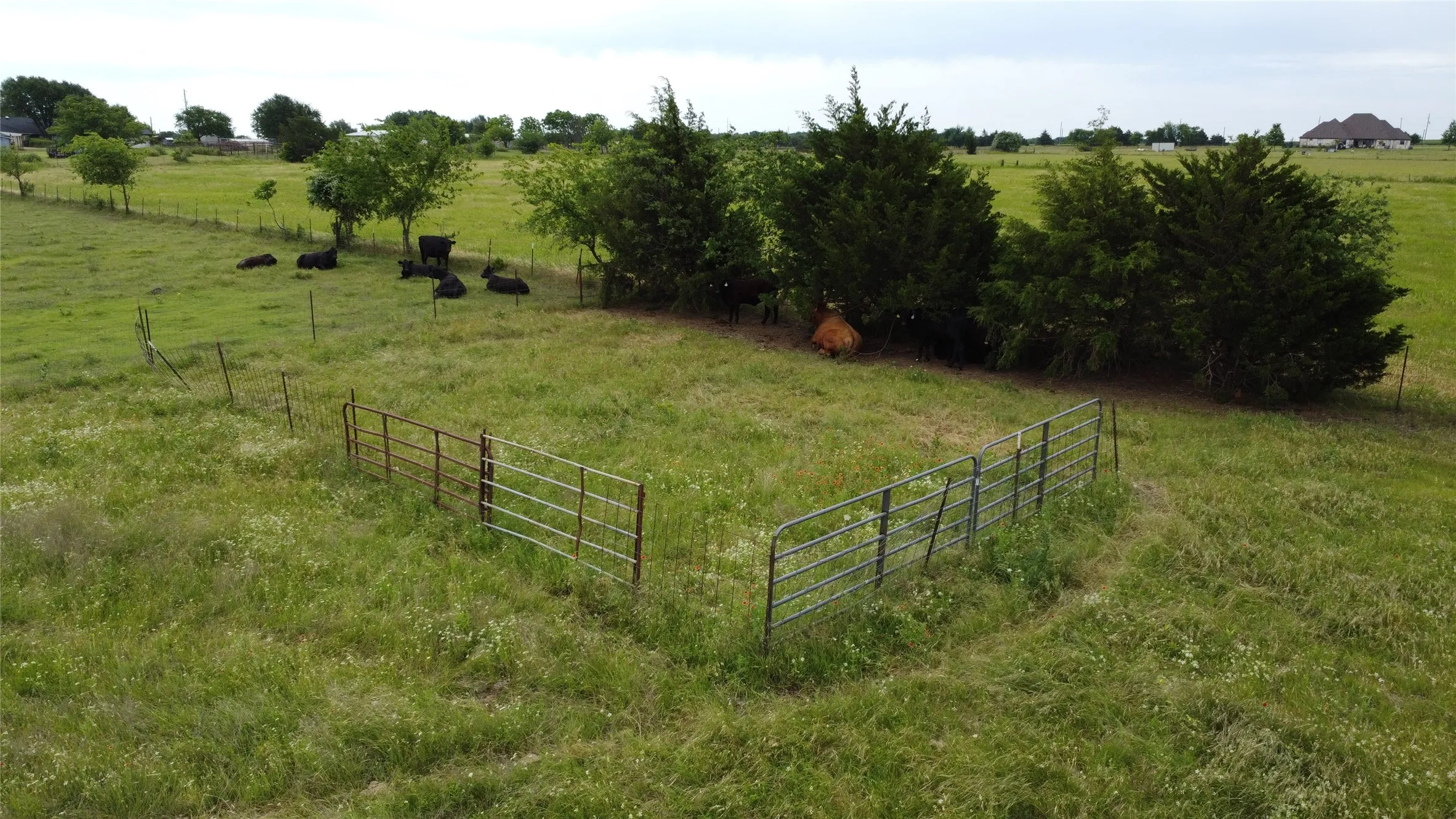Unimproved Land For Sale in Ellis County , 0000 S Hampton Road, Oak Leaf, Texas 75154, 0, 0, Garage spaces, 0 Sqft, built in 0, Price $832,800, mls#21275546, Real Estate Agent in Oak Leaf, Homes For Sale in Ellis county, Homes For Sale in Oak Leaf, Realtor in Oak Leaf Texas, Real Estate Brokerage Independent Realty Texas, Luminita Cordes Realtor