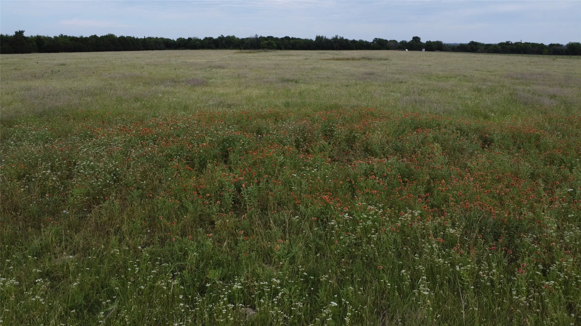 Unimproved Land For Sale in Ellis County , 0000 S Hampton Road, Oak Leaf, Texas 75154, 0, 0, Garage spaces, 0 Sqft, built in 0, Price $832,800, mls#21275546, Real Estate Agent in Oak Leaf, Homes For Sale in Ellis county, Homes For Sale in Oak Leaf, Realtor in Oak Leaf Texas, Real Estate Brokerage Independent Realty Texas, Luminita Cordes Realtor