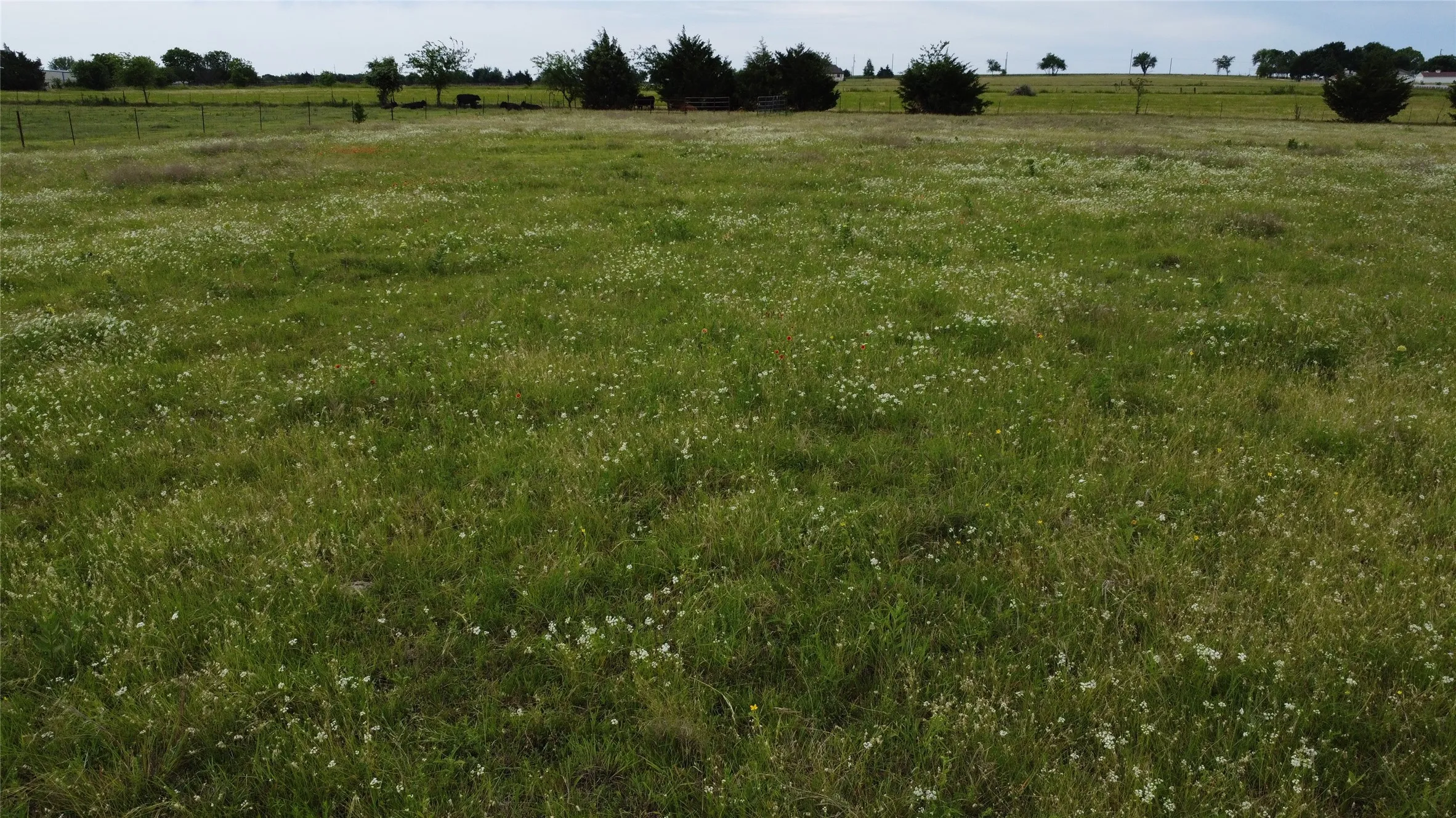 Unimproved Land For Sale in Ellis County , 0000 S Hampton Road, Oak Leaf, Texas 75154, 0, 0, Garage spaces, 0 Sqft, built in 0, Price $832,800, mls#21275546, Real Estate Agent in Oak Leaf, Homes For Sale in Ellis county, Homes For Sale in Oak Leaf, Realtor in Oak Leaf Texas, Real Estate Brokerage Independent Realty Texas, Luminita Cordes Realtor