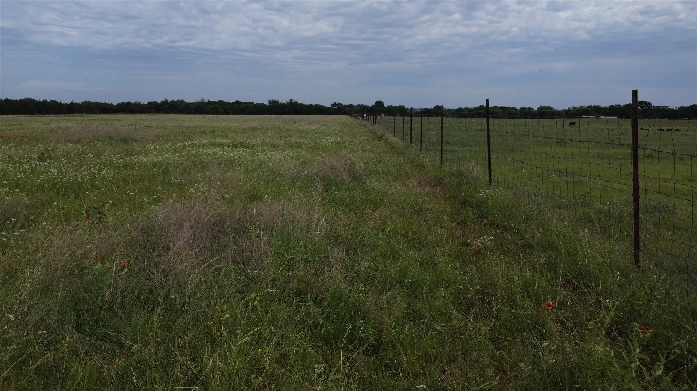 Unimproved Land For Sale in Ellis County , 0000 S Hampton Road, Oak Leaf, Texas 75154, 0, 0, Garage spaces, 0 Sqft, built in 0, Price $832,800, mls#21275546, Real Estate Agent in Oak Leaf, Homes For Sale in Ellis county, Homes For Sale in Oak Leaf, Realtor in Oak Leaf Texas, Real Estate Brokerage Independent Realty Texas, Luminita Cordes Realtor