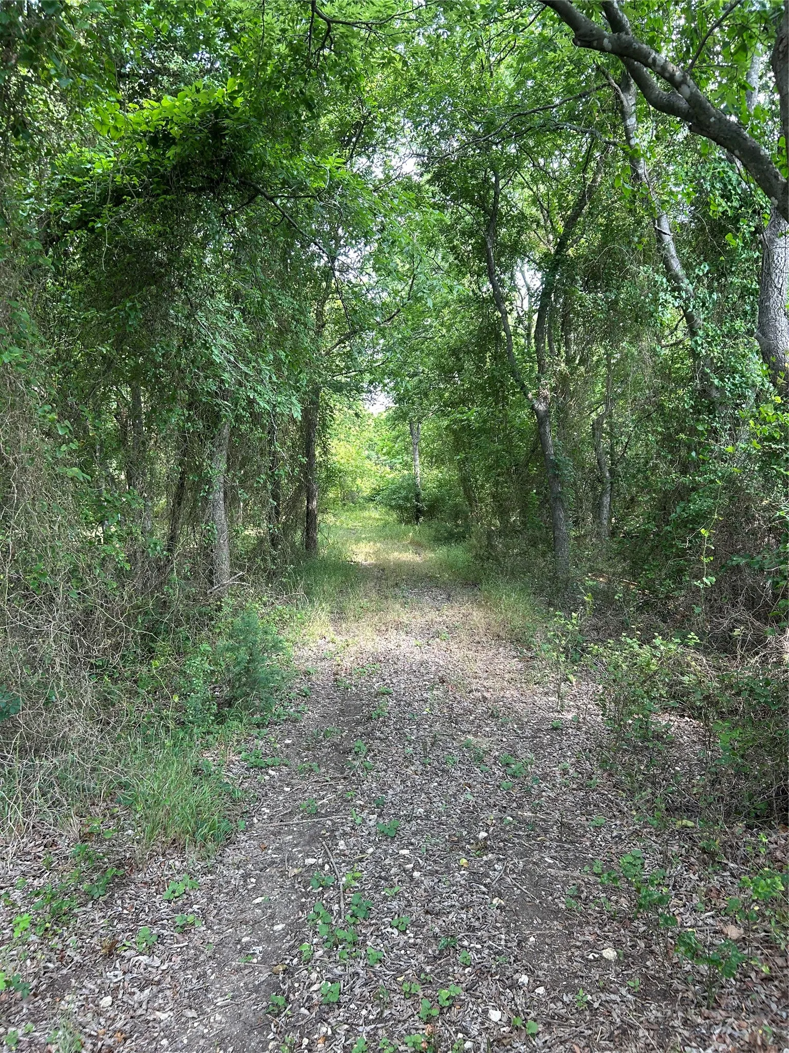 Ranch For Sale in Johnson County , TBD FM 1434, Cleburne, Texas 76033, 0, 0, Garage spaces, 0 Sqft, built in 0, Price $526,240, mls#21276592, Real Estate Agent in Cleburne, Homes For Sale in Johnson county, Homes For Sale in Cleburne, Realtor in Cleburne Texas, Real Estate Brokerage Independent Realty Texas, Luminita Cordes Realtor