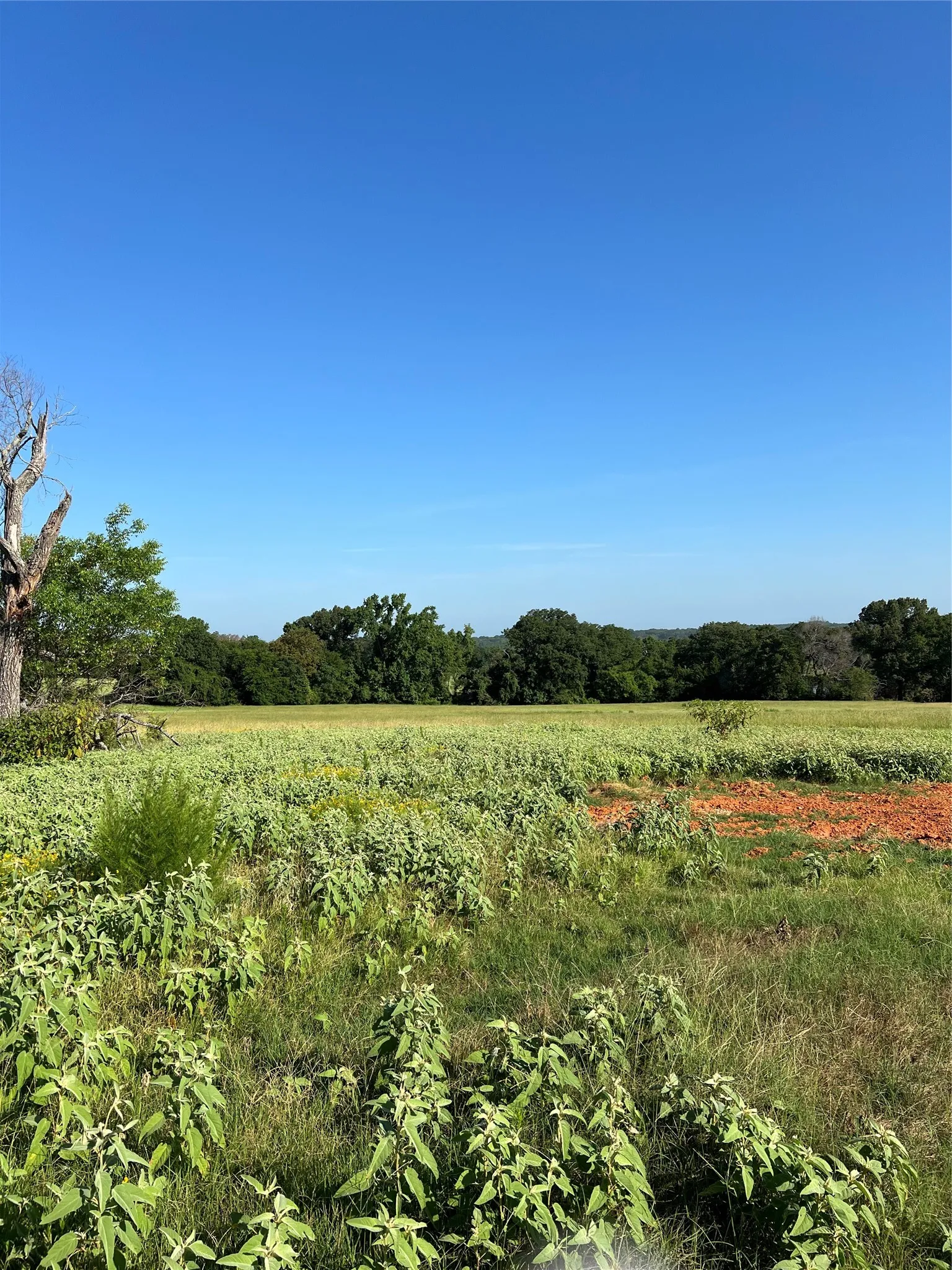 Unimproved Land For Sale in Smith County , TBD E. Centennial, Tyler, Texas 75706, 0, 0, Garage spaces, 0 Sqft, built in 0, Price $3,000,000, mls#21276628, Real Estate Agent in Tyler, Homes For Sale in Smith county, Homes For Sale in Tyler, Realtor in Tyler Texas, Real Estate Brokerage Independent Realty Texas, Luminita Cordes Realtor