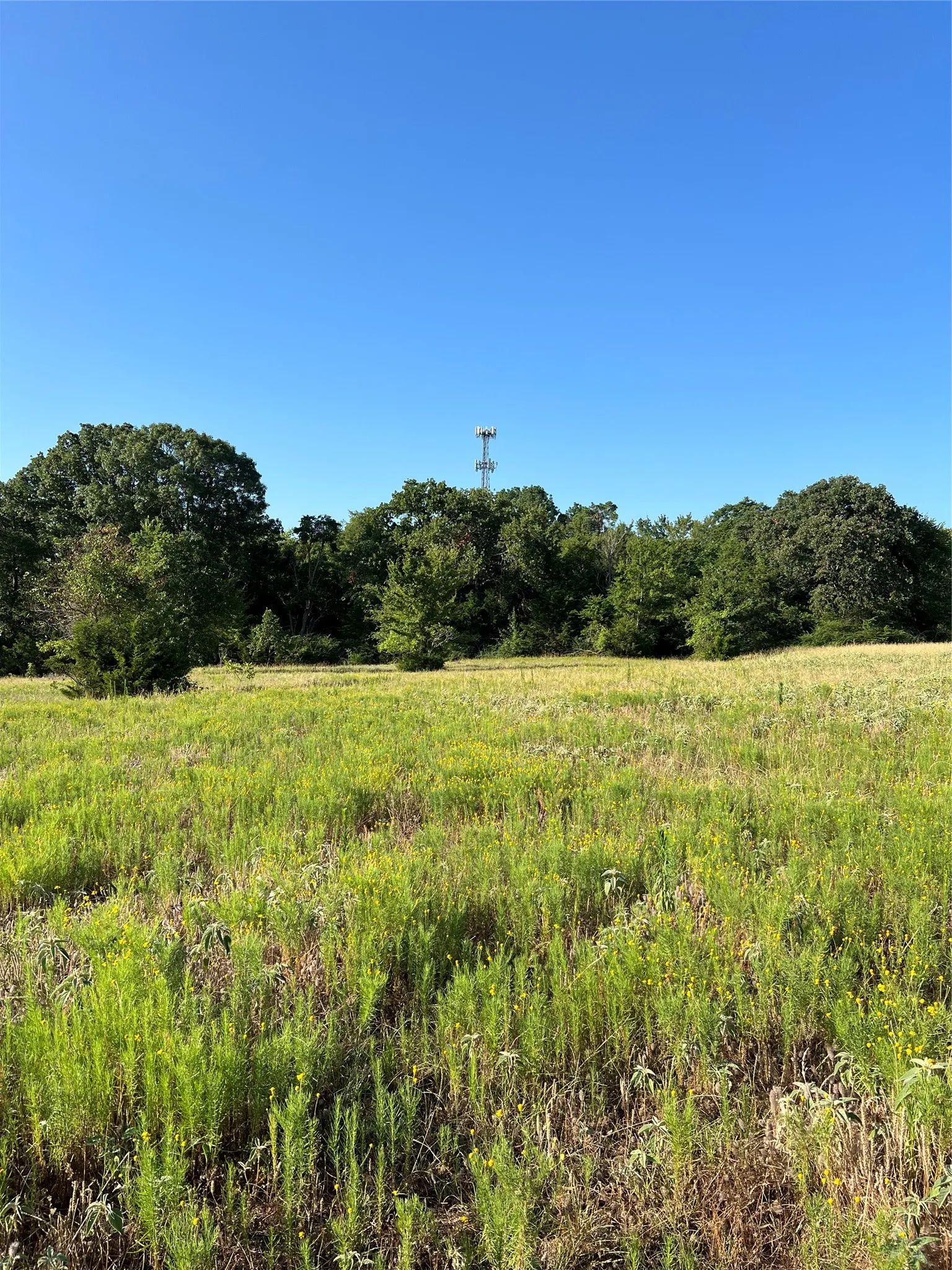 Unimproved Land For Sale in Smith County , TBD E. Centennial, Tyler, Texas 75706, 0, 0, Garage spaces, 0 Sqft, built in 0, Price $3,000,000, mls#21276628, Real Estate Agent in Tyler, Homes For Sale in Smith county, Homes For Sale in Tyler, Realtor in Tyler Texas, Real Estate Brokerage Independent Realty Texas, Luminita Cordes Realtor