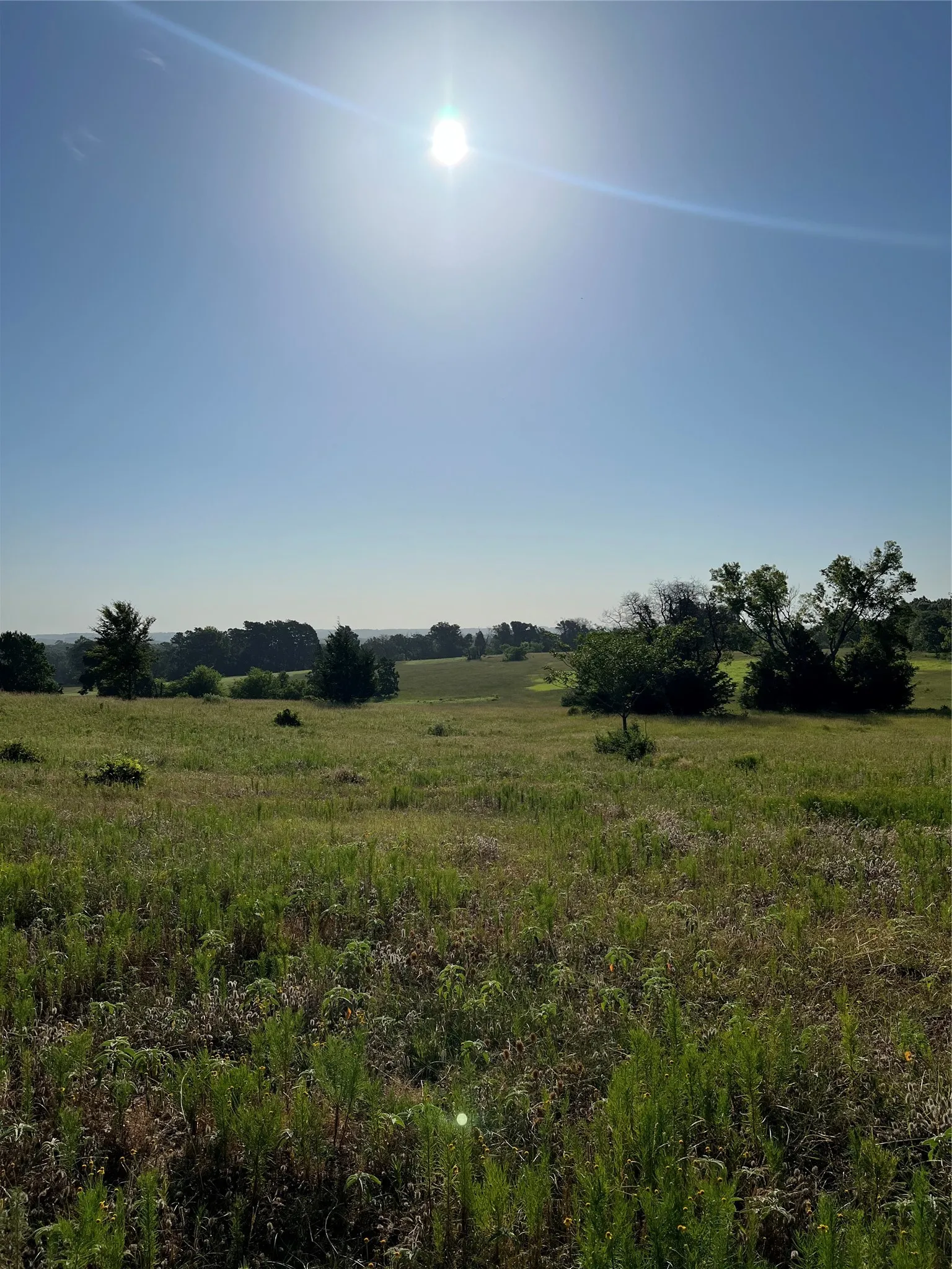 Unimproved Land For Sale in Smith County , TBD E. Centennial, Tyler, Texas 75706, 0, 0, Garage spaces, 0 Sqft, built in 0, Price $3,000,000, mls#21276628, Real Estate Agent in Tyler, Homes For Sale in Smith county, Homes For Sale in Tyler, Realtor in Tyler Texas, Real Estate Brokerage Independent Realty Texas, Luminita Cordes Realtor