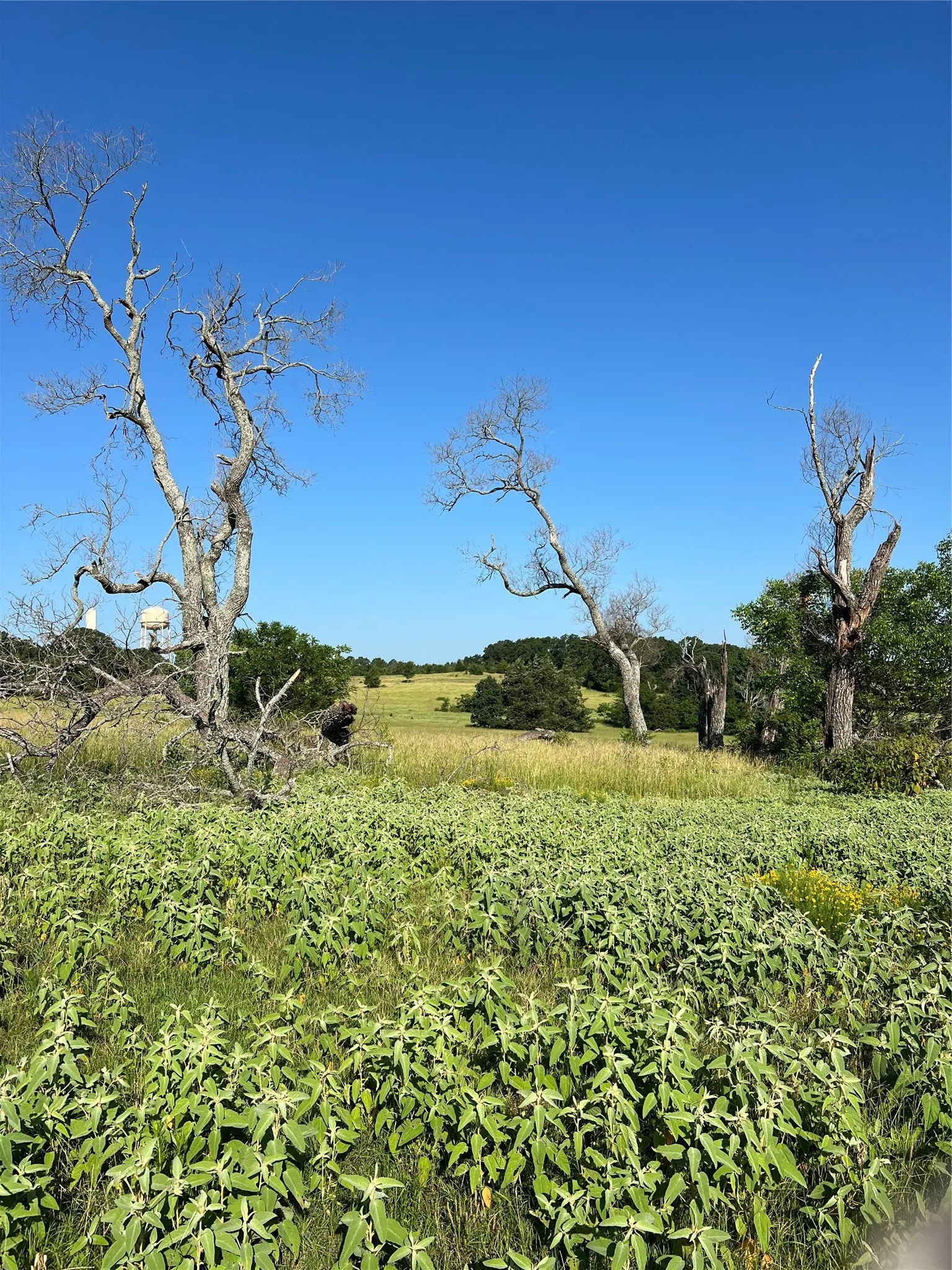 Unimproved Land For Sale in Smith County , TBD E. Centennial, Tyler, Texas 75706, 0, 0, Garage spaces, 0 Sqft, built in 0, Price $3,000,000, mls#21276628, Real Estate Agent in Tyler, Homes For Sale in Smith county, Homes For Sale in Tyler, Realtor in Tyler Texas, Real Estate Brokerage Independent Realty Texas, Luminita Cordes Realtor