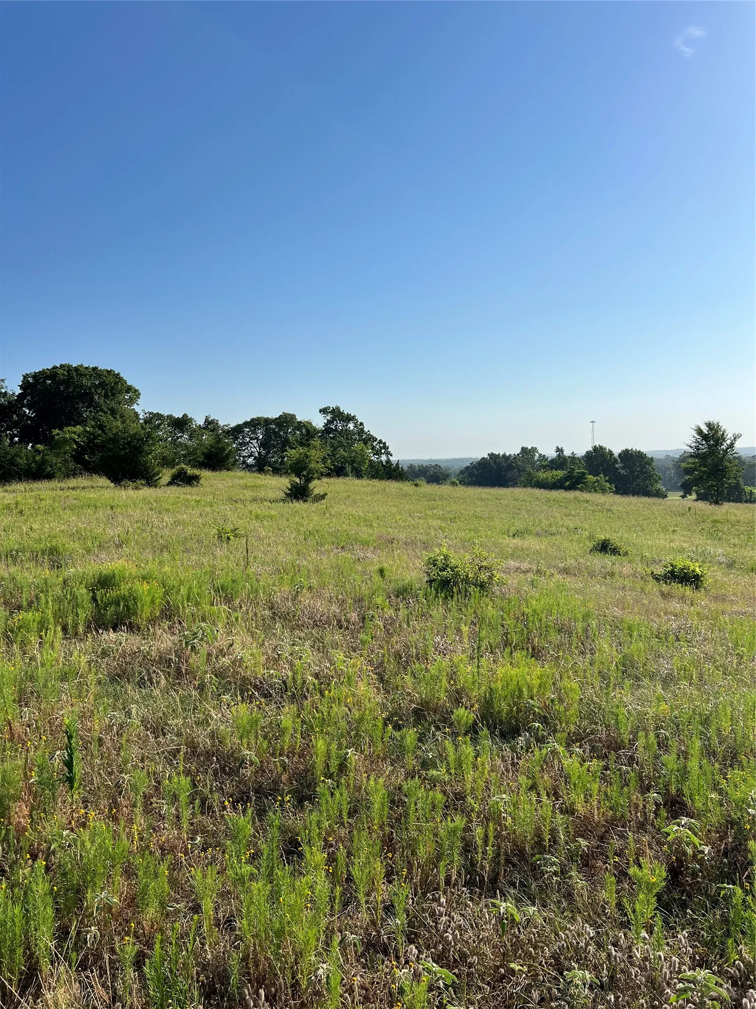 Unimproved Land For Sale in Smith County , TBD E. Centennial, Tyler, Texas 75706, 0, 0, Garage spaces, 0 Sqft, built in 0, Price $3,000,000, mls#21276628, Real Estate Agent in Tyler, Homes For Sale in Smith county, Homes For Sale in Tyler, Realtor in Tyler Texas, Real Estate Brokerage Independent Realty Texas, Luminita Cordes Realtor