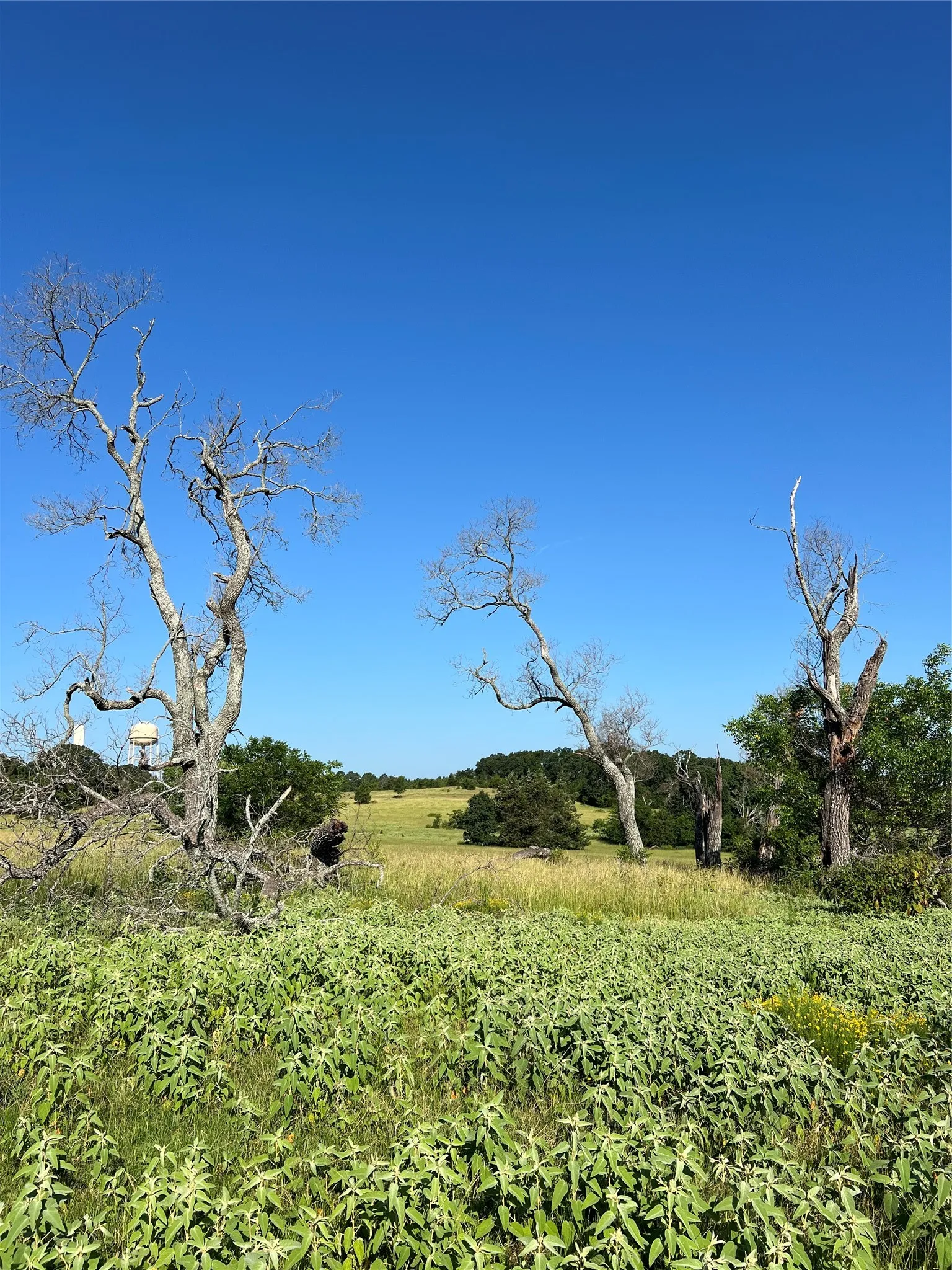 Unimproved Land For Sale in Smith County , TBD E. Centennial, Tyler, Texas 75706, 0, 0, Garage spaces, 0 Sqft, built in 0, Price $3,000,000, mls#21276628, Real Estate Agent in Tyler, Homes For Sale in Smith county, Homes For Sale in Tyler, Realtor in Tyler Texas, Real Estate Brokerage Independent Realty Texas, Luminita Cordes Realtor