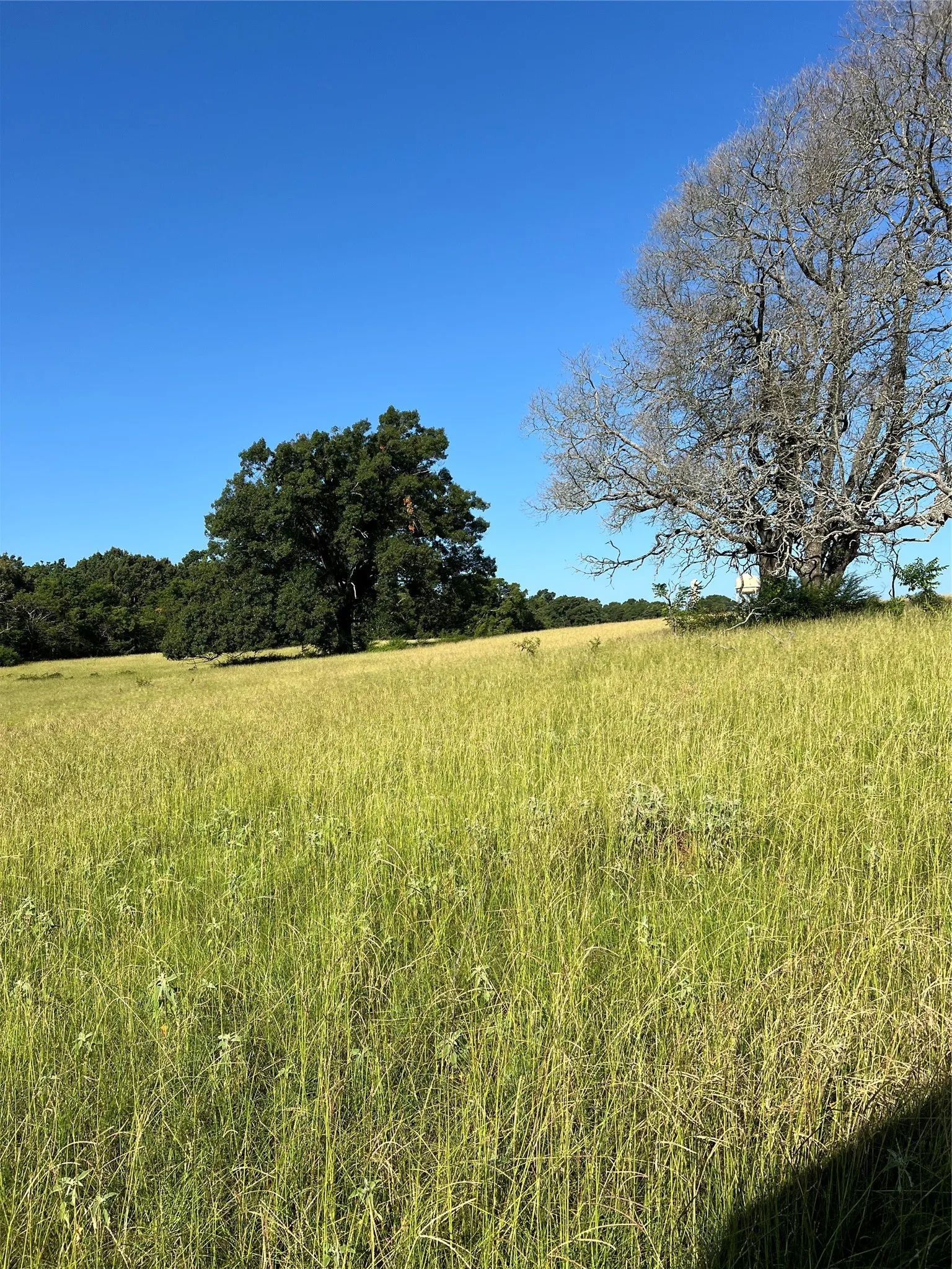 Unimproved Land For Sale in Smith County , TBD E. Centennial, Tyler, Texas 75706, 0, 0, Garage spaces, 0 Sqft, built in 0, Price $3,000,000, mls#21276628, Real Estate Agent in Tyler, Homes For Sale in Smith county, Homes For Sale in Tyler, Realtor in Tyler Texas, Real Estate Brokerage Independent Realty Texas, Luminita Cordes Realtor
