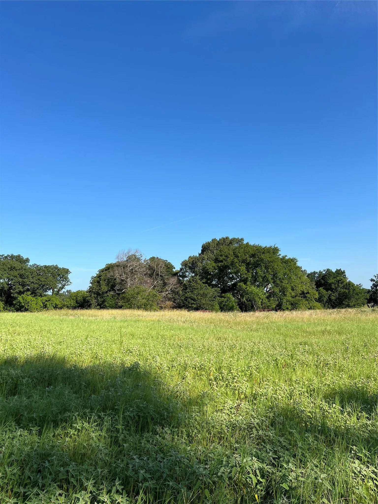 Unimproved Land For Sale in Smith County , TBD E. Centennial, Tyler, Texas 75706, 0, 0, Garage spaces, 0 Sqft, built in 0, Price $3,000,000, mls#21276628, Real Estate Agent in Tyler, Homes For Sale in Smith county, Homes For Sale in Tyler, Realtor in Tyler Texas, Real Estate Brokerage Independent Realty Texas, Luminita Cordes Realtor