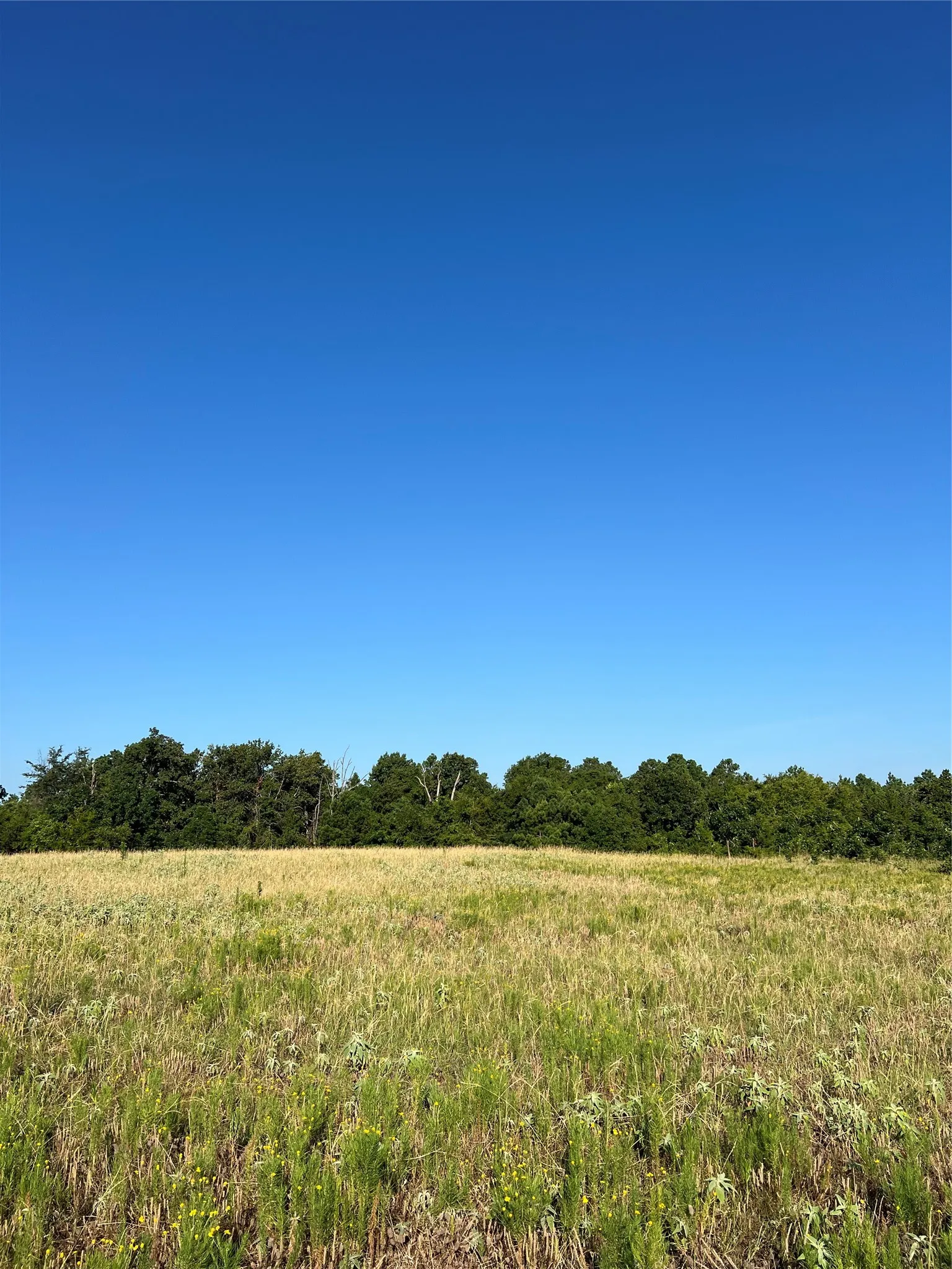 Unimproved Land For Sale in Smith County , TBD E. Centennial, Tyler, Texas 75706, 0, 0, Garage spaces, 0 Sqft, built in 0, Price $3,000,000, mls#21276628, Real Estate Agent in Tyler, Homes For Sale in Smith county, Homes For Sale in Tyler, Realtor in Tyler Texas, Real Estate Brokerage Independent Realty Texas, Luminita Cordes Realtor