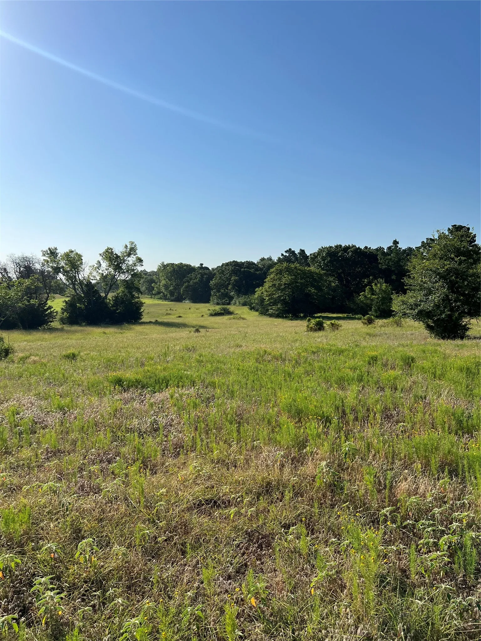 Unimproved Land For Sale in Smith County , TBD E. Centennial, Tyler, Texas 75706, 0, 0, Garage spaces, 0 Sqft, built in 0, Price $3,000,000, mls#21276628, Real Estate Agent in Tyler, Homes For Sale in Smith county, Homes For Sale in Tyler, Realtor in Tyler Texas, Real Estate Brokerage Independent Realty Texas, Luminita Cordes Realtor