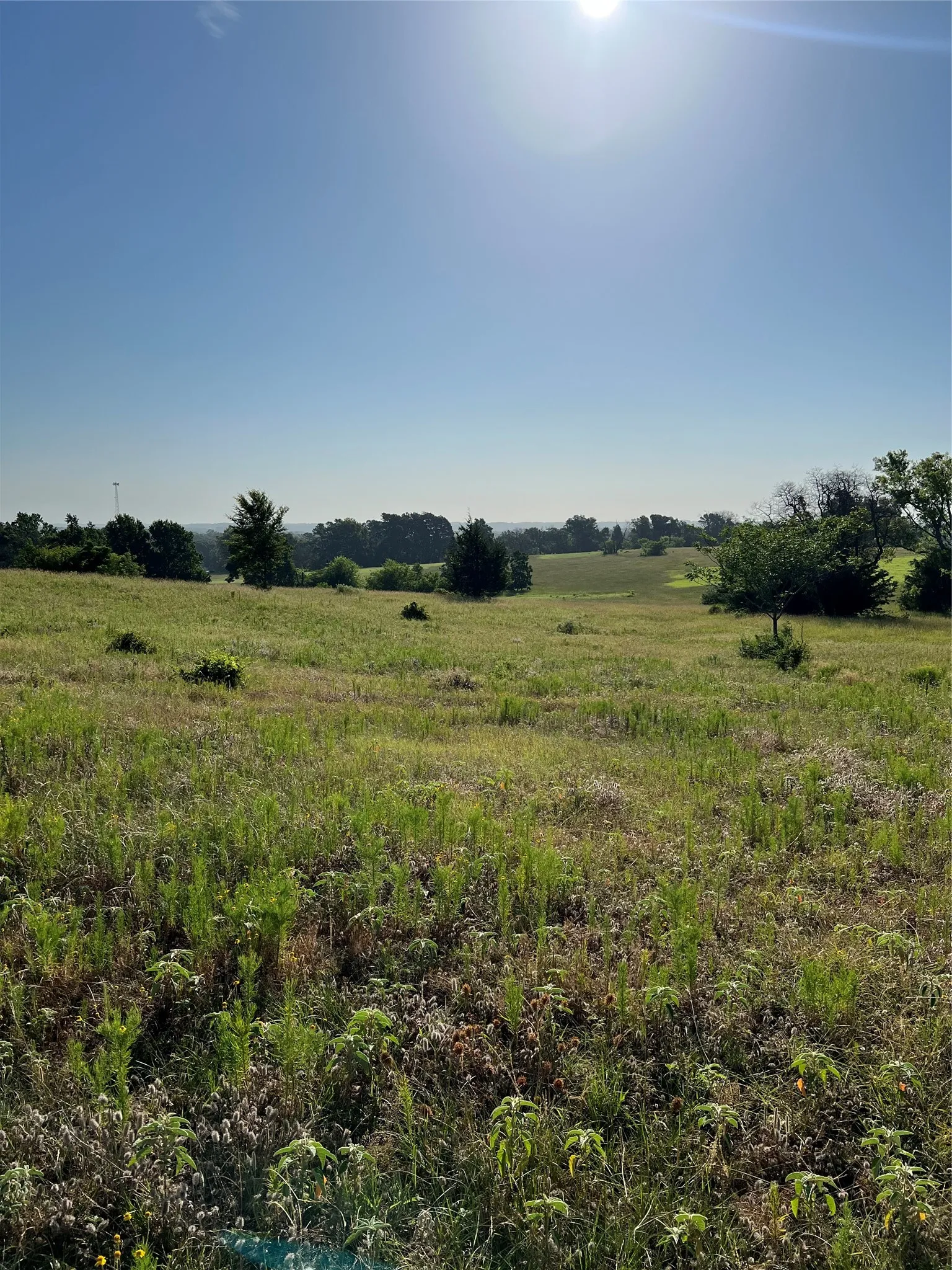 Unimproved Land For Sale in Smith County , TBD E. Centennial, Tyler, Texas 75706, 0, 0, Garage spaces, 0 Sqft, built in 0, Price $3,000,000, mls#21276628, Real Estate Agent in Tyler, Homes For Sale in Smith county, Homes For Sale in Tyler, Realtor in Tyler Texas, Real Estate Brokerage Independent Realty Texas, Luminita Cordes Realtor