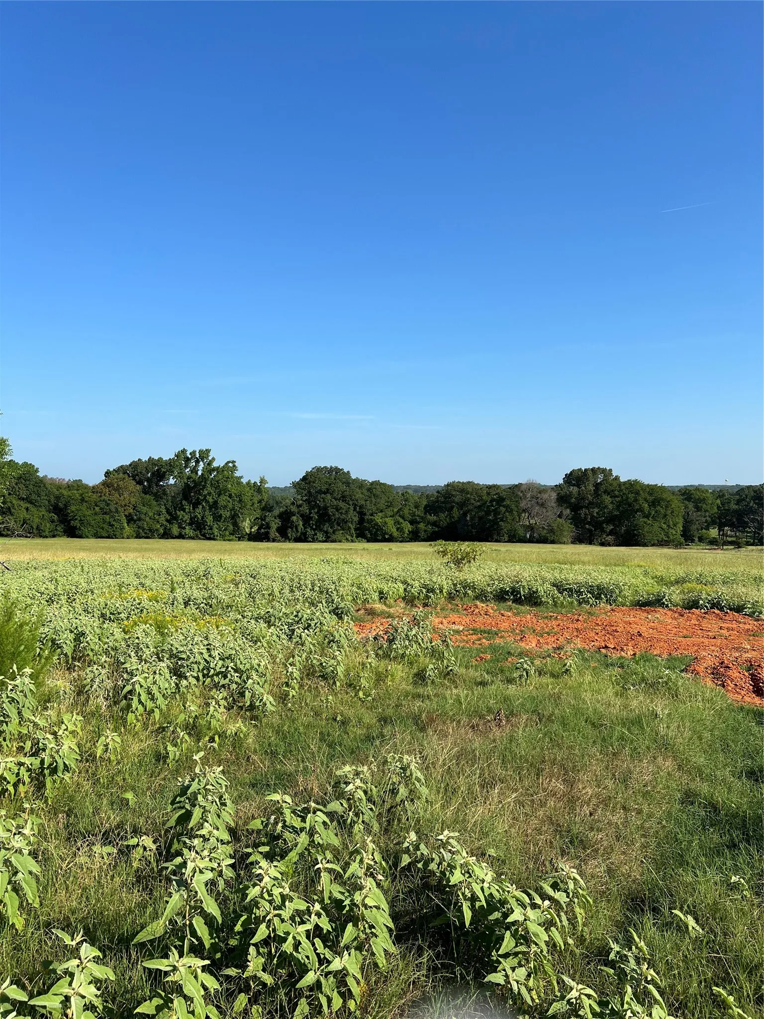 Unimproved Land For Sale in Smith County , TBD E. Centennial, Tyler, Texas 75706, 0, 0, Garage spaces, 0 Sqft, built in 0, Price $3,000,000, mls#21276628, Real Estate Agent in Tyler, Homes For Sale in Smith county, Homes For Sale in Tyler, Realtor in Tyler Texas, Real Estate Brokerage Independent Realty Texas, Luminita Cordes Realtor