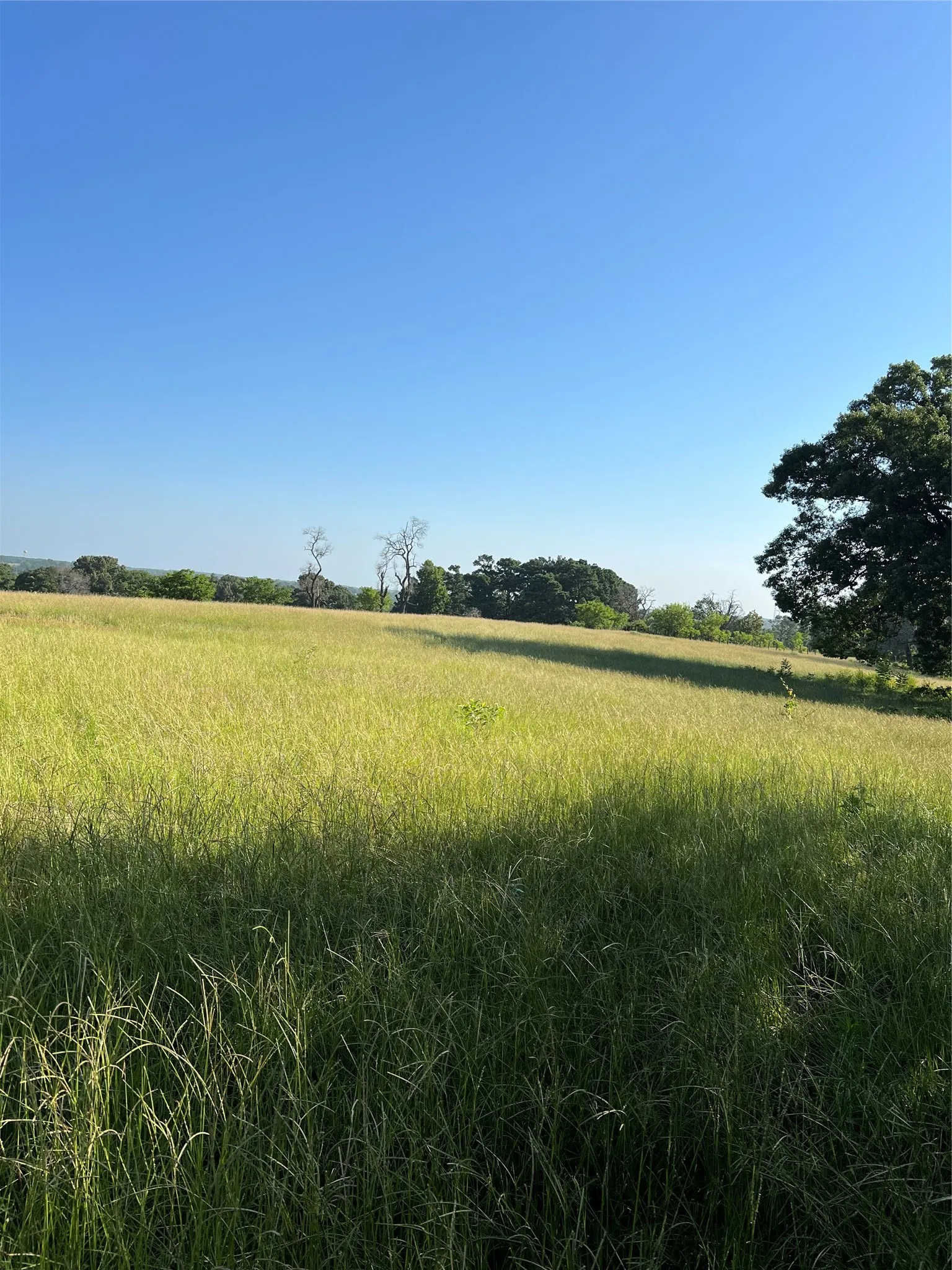 Unimproved Land For Sale in Smith County , TBD E. Centennial, Tyler, Texas 75706, 0, 0, Garage spaces, 0 Sqft, built in 0, Price $3,000,000, mls#21276628, Real Estate Agent in Tyler, Homes For Sale in Smith county, Homes For Sale in Tyler, Realtor in Tyler Texas, Real Estate Brokerage Independent Realty Texas, Luminita Cordes Realtor