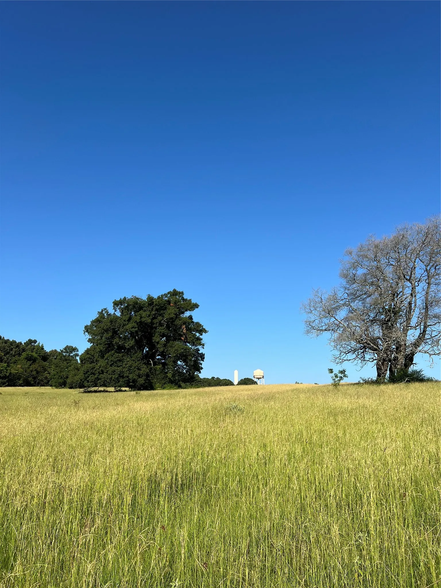 Unimproved Land For Sale in Smith County , TBD E. Centennial, Tyler, Texas 75706, 0, 0, Garage spaces, 0 Sqft, built in 0, Price $3,000,000, mls#21276628, Real Estate Agent in Tyler, Homes For Sale in Smith county, Homes For Sale in Tyler, Realtor in Tyler Texas, Real Estate Brokerage Independent Realty Texas, Luminita Cordes Realtor