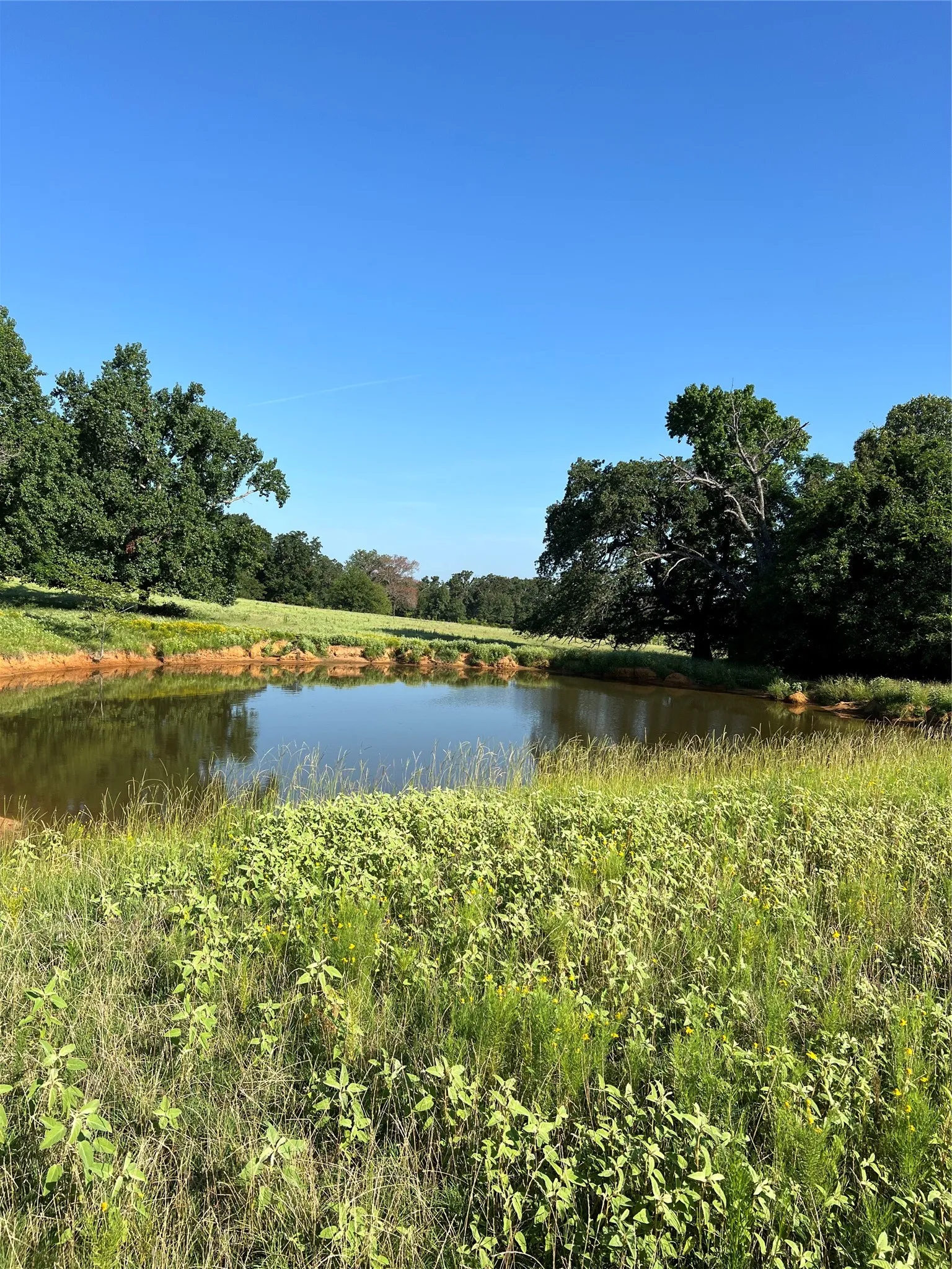 Unimproved Land For Sale in Smith County , TBD E. Centennial, Tyler, Texas 75706, 0, 0, Garage spaces, 0 Sqft, built in 0, Price $3,000,000, mls#21276628, Real Estate Agent in Tyler, Homes For Sale in Smith county, Homes For Sale in Tyler, Realtor in Tyler Texas, Real Estate Brokerage Independent Realty Texas, Luminita Cordes Realtor