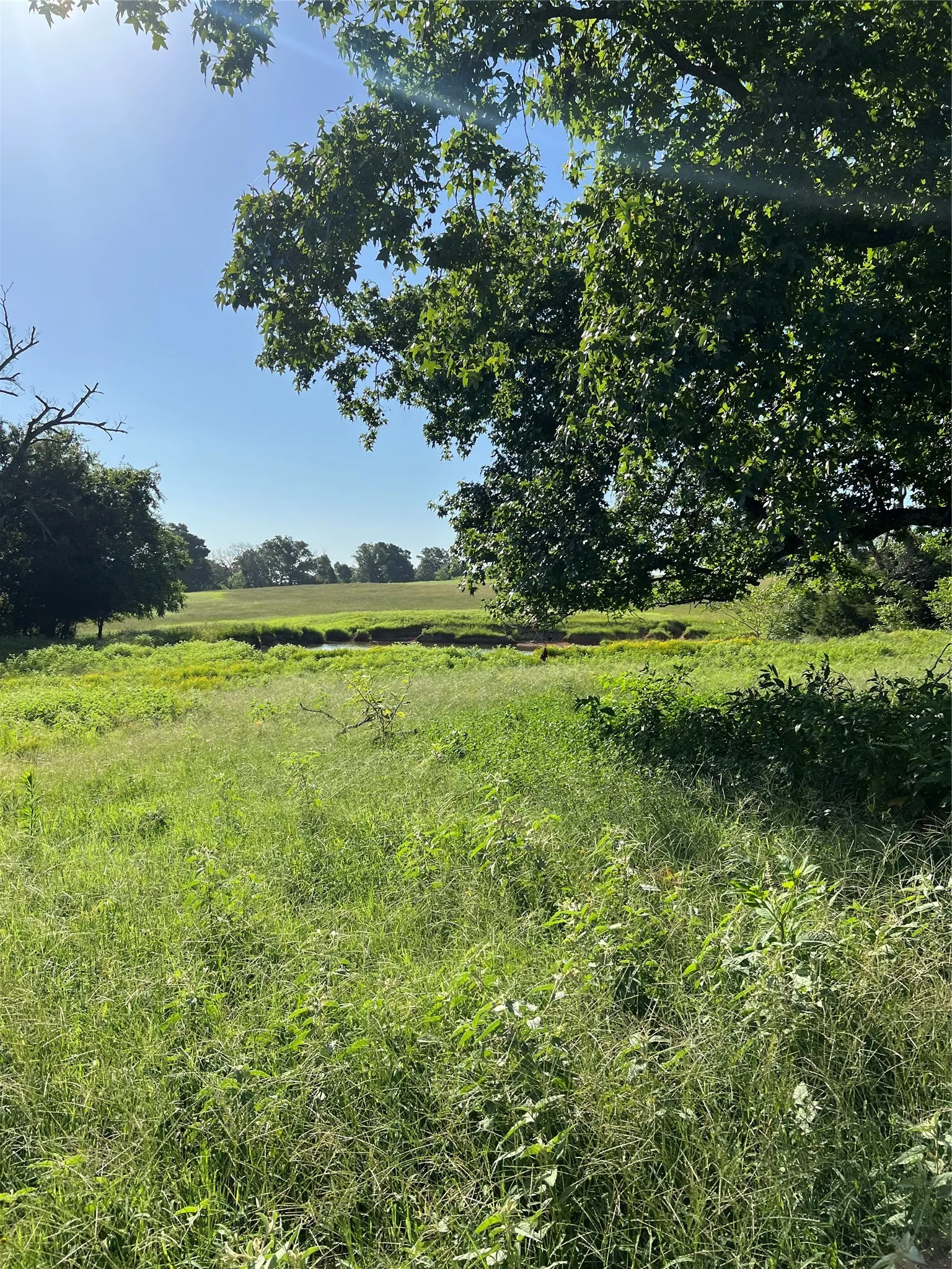 Unimproved Land For Sale in Smith County , TBD E. Centennial, Tyler, Texas 75706, 0, 0, Garage spaces, 0 Sqft, built in 0, Price $3,000,000, mls#21276628, Real Estate Agent in Tyler, Homes For Sale in Smith county, Homes For Sale in Tyler, Realtor in Tyler Texas, Real Estate Brokerage Independent Realty Texas, Luminita Cordes Realtor