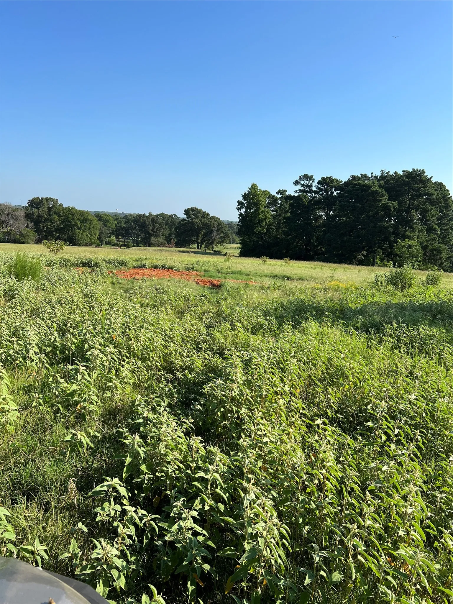 Unimproved Land For Sale in Smith County , TBD E. Centennial, Tyler, Texas 75706, 0, 0, Garage spaces, 0 Sqft, built in 0, Price $3,000,000, mls#21276628, Real Estate Agent in Tyler, Homes For Sale in Smith county, Homes For Sale in Tyler, Realtor in Tyler Texas, Real Estate Brokerage Independent Realty Texas, Luminita Cordes Realtor