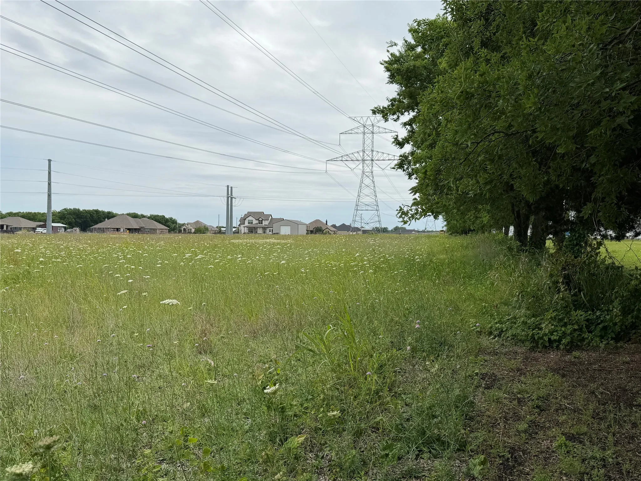 Expansive undeveloped land parcel featuring natural grasses and distant residential structures
