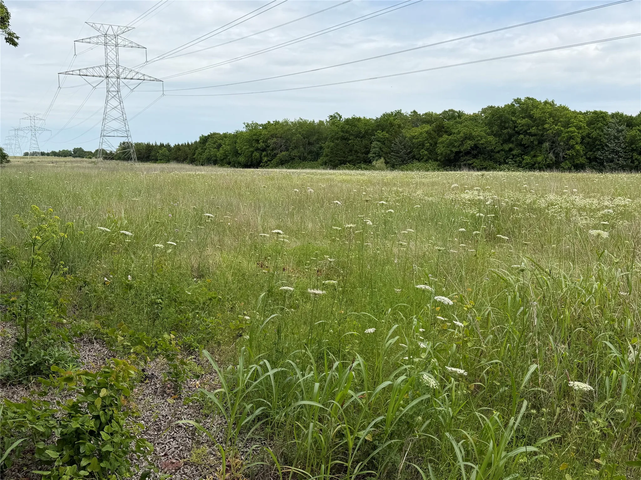 Expansive open field with natural vegetation and mature trees bordering the​​‌​​​​‌​​‌‌​‌‌​​​‌‌​‌​‌​‌​​​‌​​ perimeter