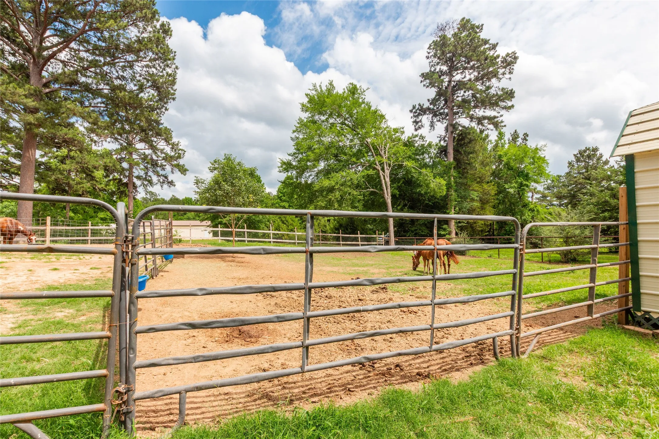 Single Family Residence For Sale in Smith County , 10775 County Road 214, Tyler, Texas 75707, 3 Bedroom, 4 Bathroom, Garage spaces, 1,866 Sqft, built in 2002, mls#21276397, Real Estate Agent in Tyler, Homes For Sale in Smith county, Homes For Sale in Tyler, Realtor in Tyler Texas, Real Estate Brokerage Independent Realty Texas, Luminita Cordes Realtor