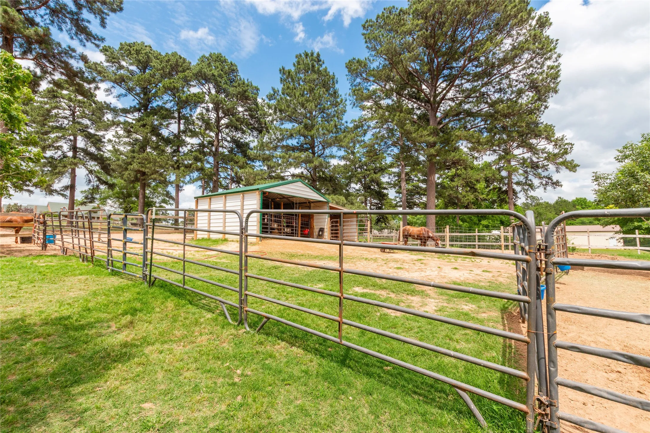 Single Family Residence For Sale in Smith County , 10775 County Road 214, Tyler, Texas 75707, 3 Bedroom, 4 Bathroom, Garage spaces, 1,866 Sqft, built in 2002, mls#21276397, Real Estate Agent in Tyler, Homes For Sale in Smith county, Homes For Sale in Tyler, Realtor in Tyler Texas, Real Estate Brokerage Independent Realty Texas, Luminita Cordes Realtor