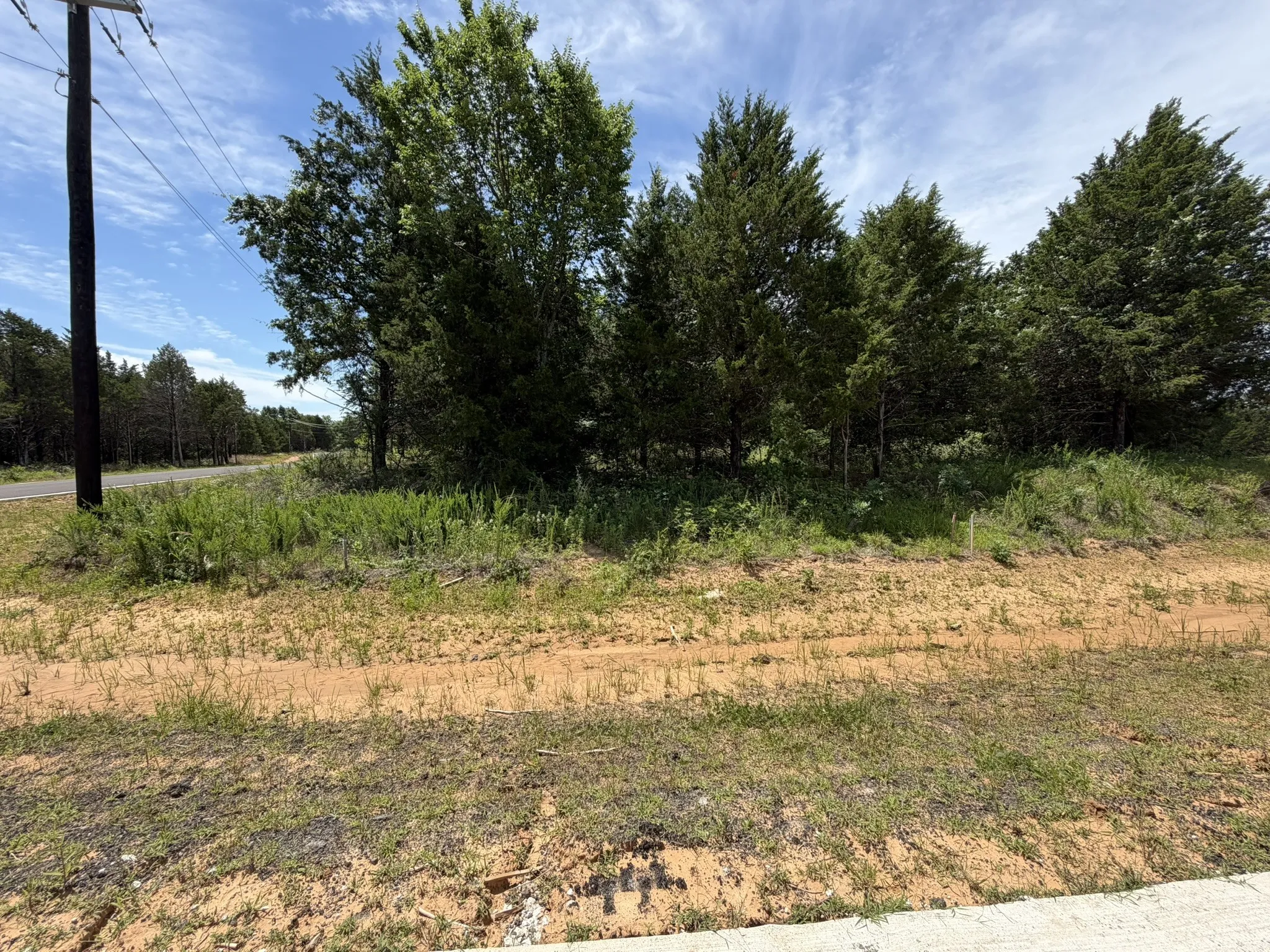 Looking at the north side of the lot
