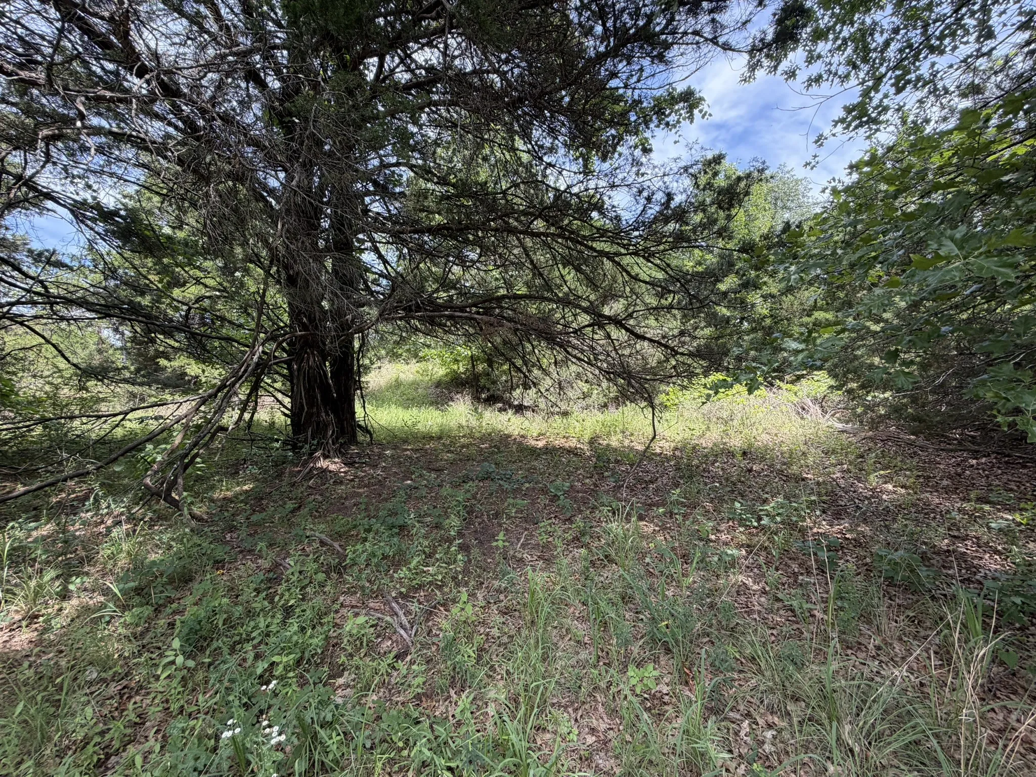 Lot interior
