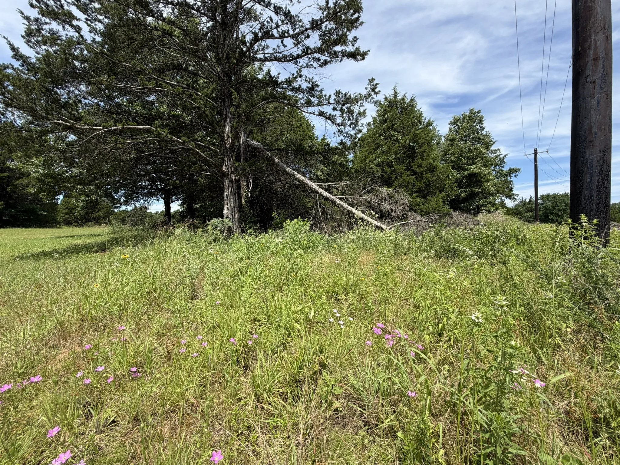 Southeast corner of lot