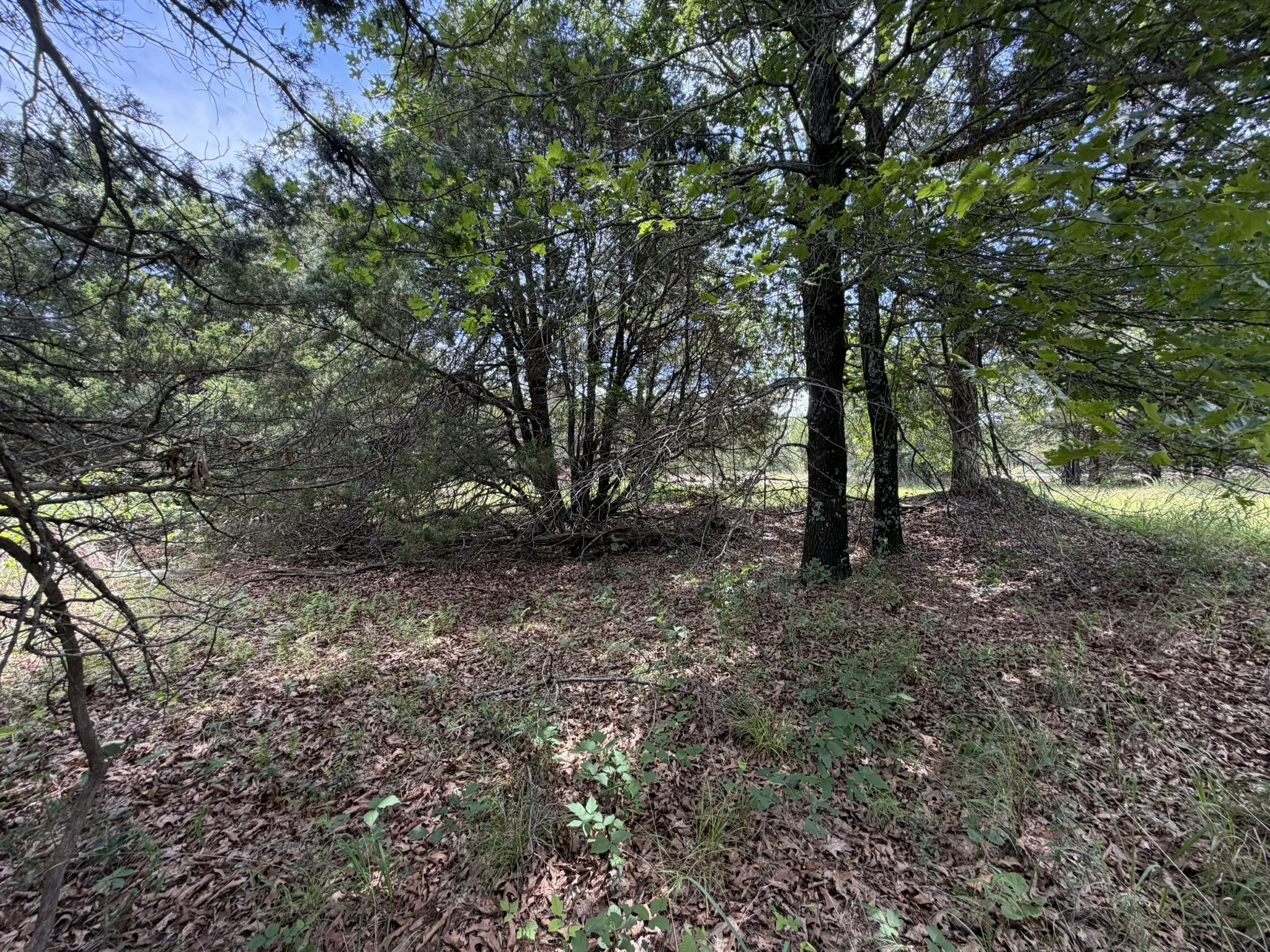 Unimproved Land For Sale in Grayson County , TBD Reflection Bay Boulevard, Gordonville, Texas 76245, 0, 0, Garage spaces, 0 Sqft, built in 0, mls#21276647, Real Estate Agent in Gordonville, Homes For Sale in Grayson county, Homes For Sale in Gordonville, Realtor in Gordonville Texas, Real Estate Brokerage Independent Realty Texas, Luminita Cordes Realtor