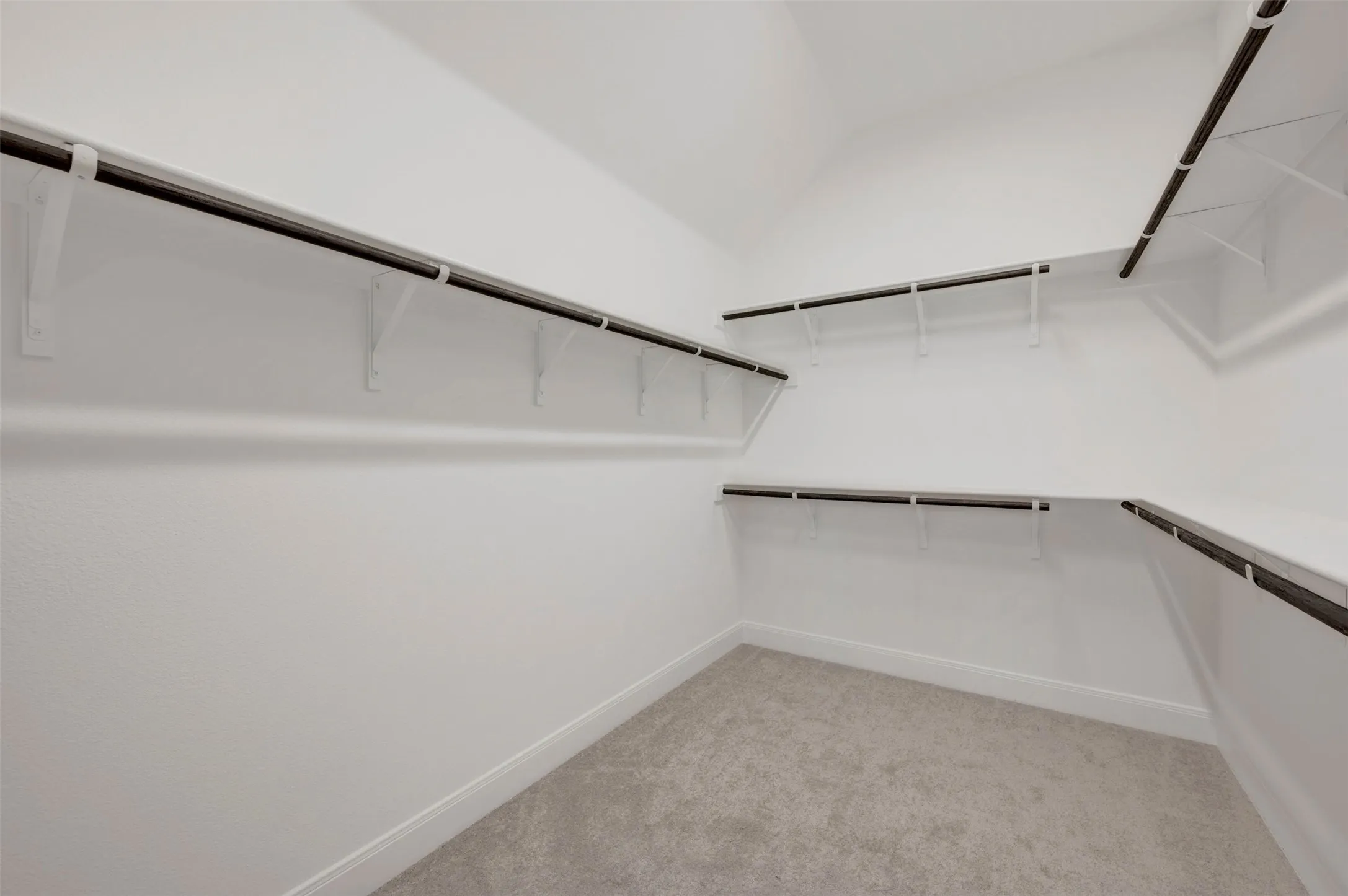 Walk-in closet with carpet flooring, white walls, and built-in shelving and hanging rods