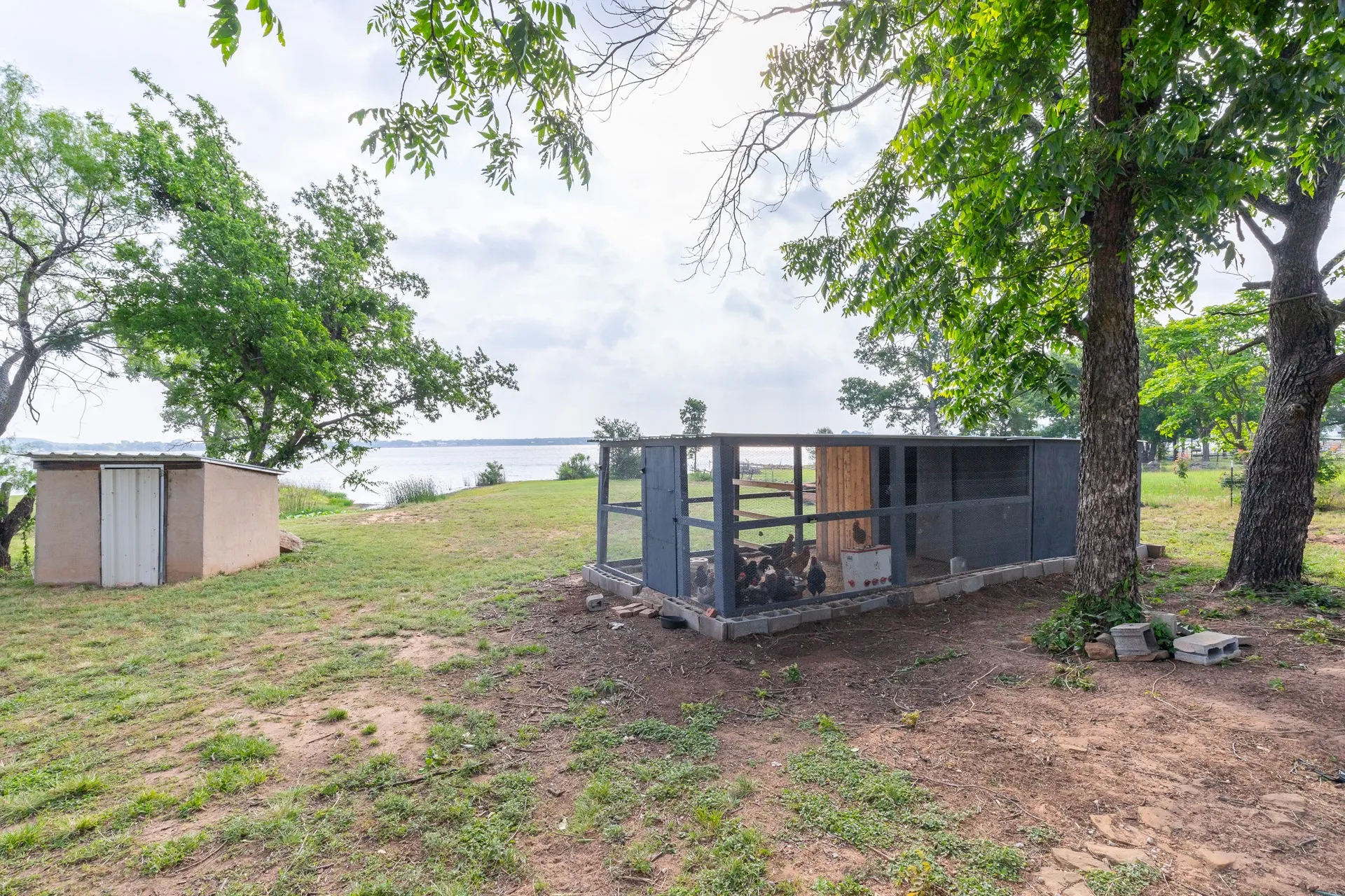 Expansive outdoor space featuring a dark gray aviary structure with a natural wood interior, a separate tan utility shed with a white door, and mature shade trees