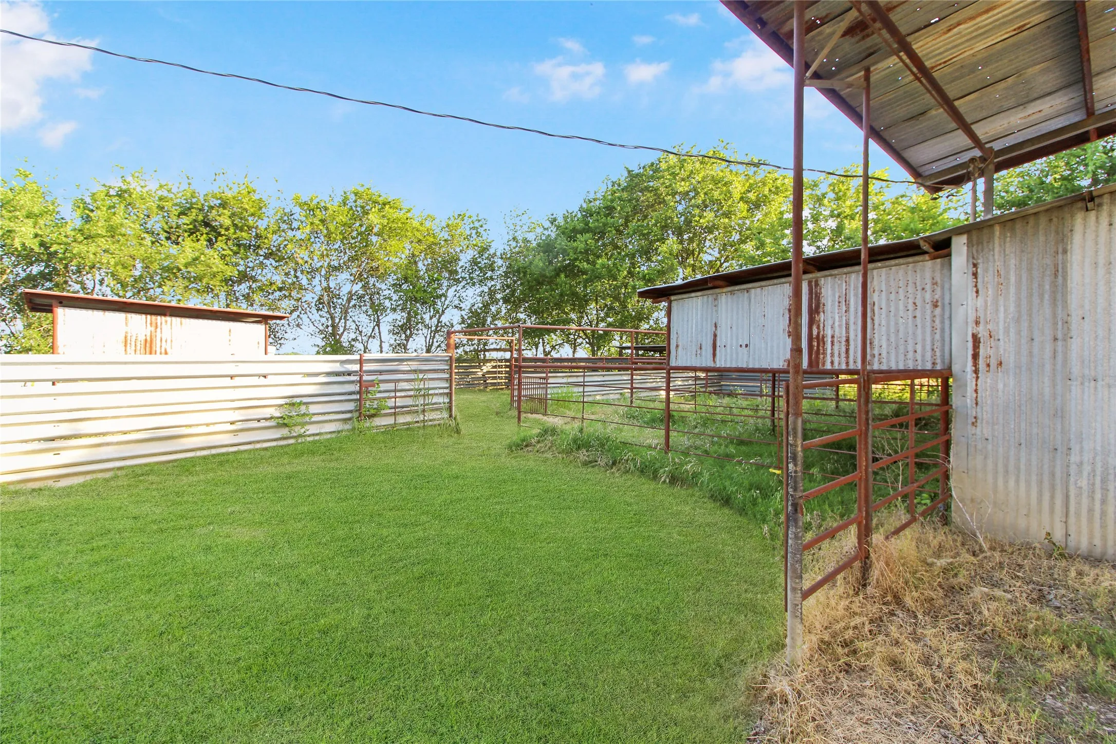 Outdoor fenced area featuring a grass lawn, corrugated metal fencing, and multiple metal corrals