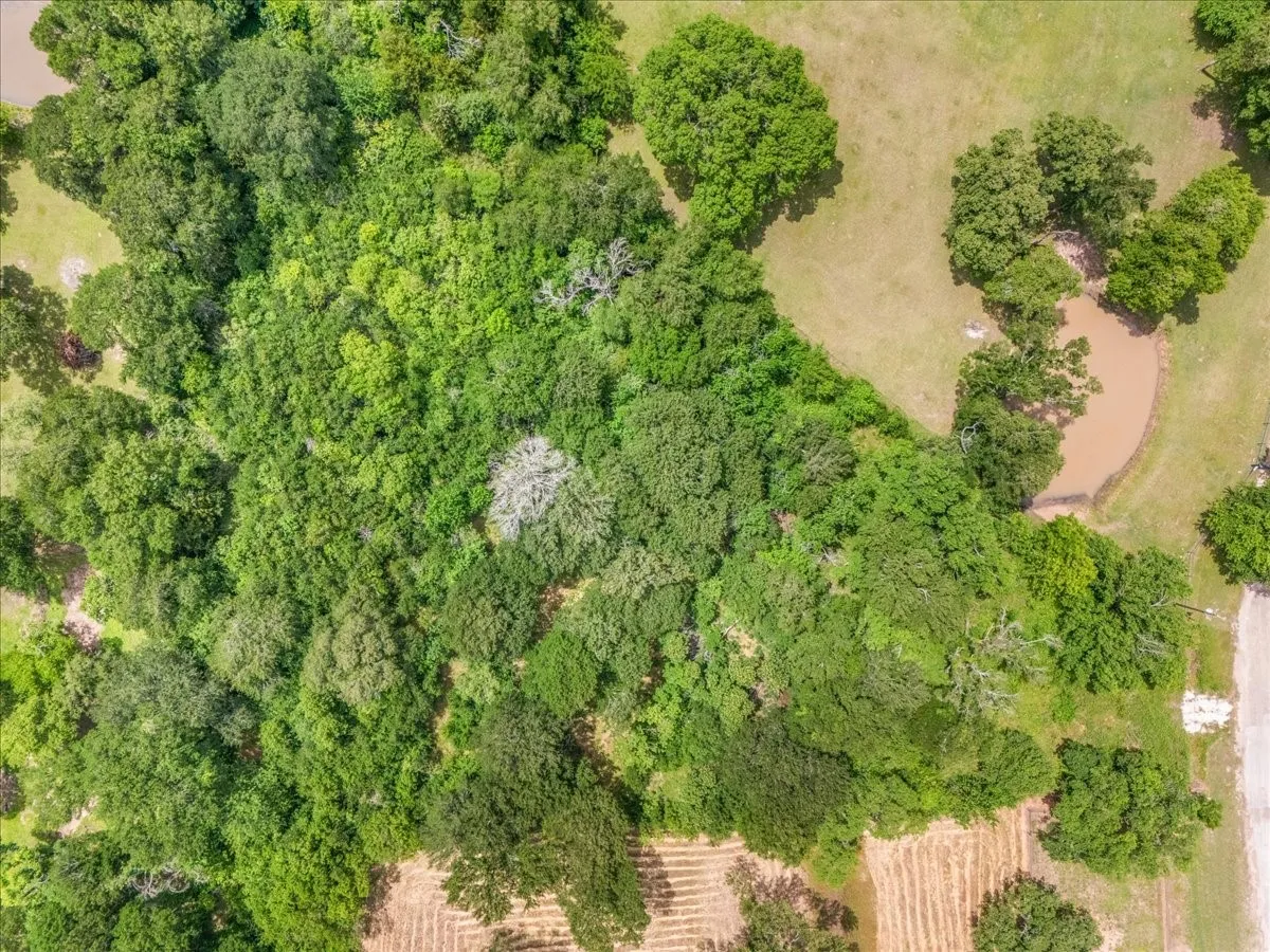 Unimproved Land For Sale in Johnson County , 840 Quail Park Lane, Cleburne, Texas 76031, 0, 0, Garage spaces, 0 Sqft, built in 0, mls#21276998, Real Estate Agent in Cleburne, Homes For Sale in Johnson county, Homes For Sale in Cleburne, Realtor in Cleburne Texas, Real Estate Brokerage Independent Realty Texas, Luminita Cordes Realtor