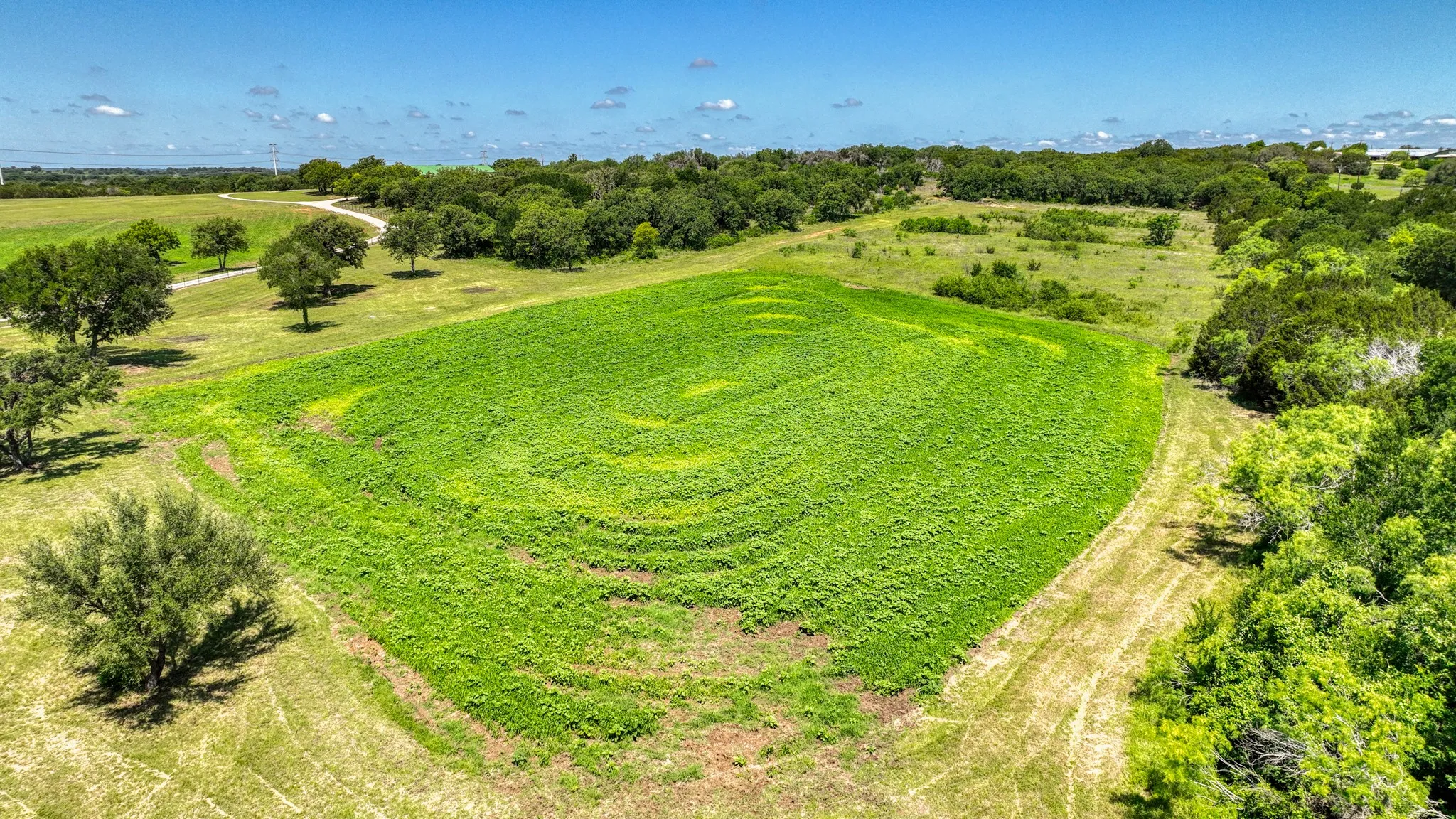 This approx.15 acres is separately priced and can be purchased with the home and approx. 25 acres. This field is completely fenced with a pond and much road frontage. It has been planted with a Dove Mix.