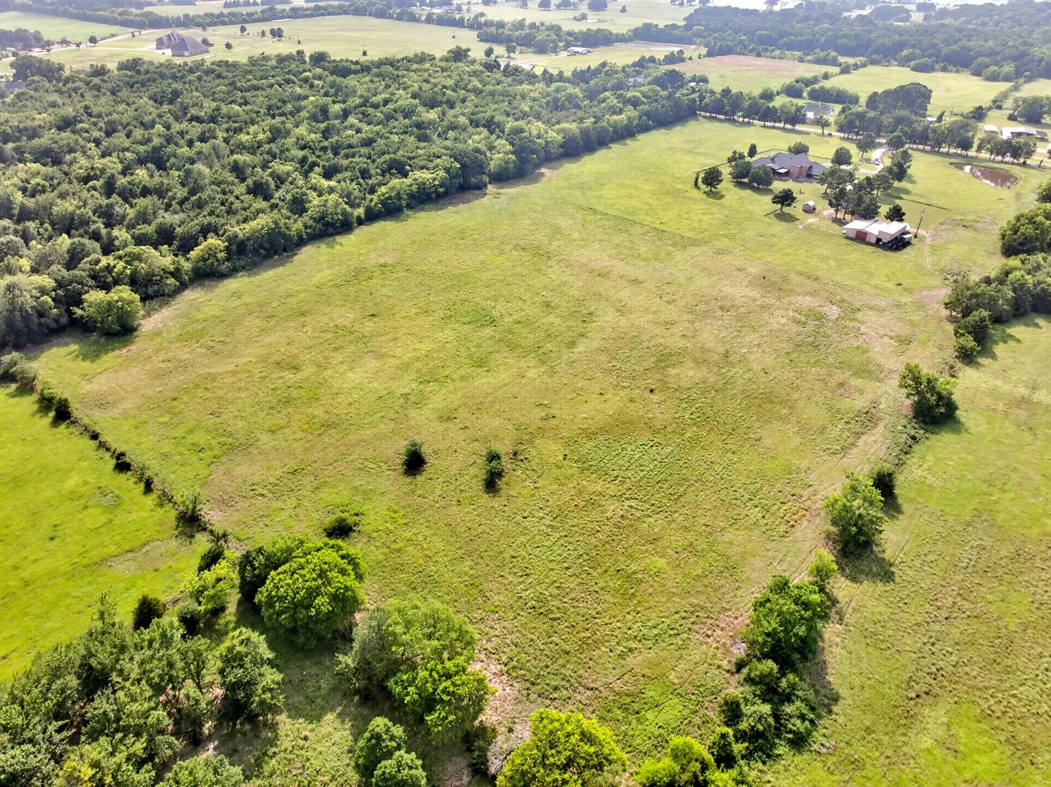 Expansive green pastures surrounded by mature trees
