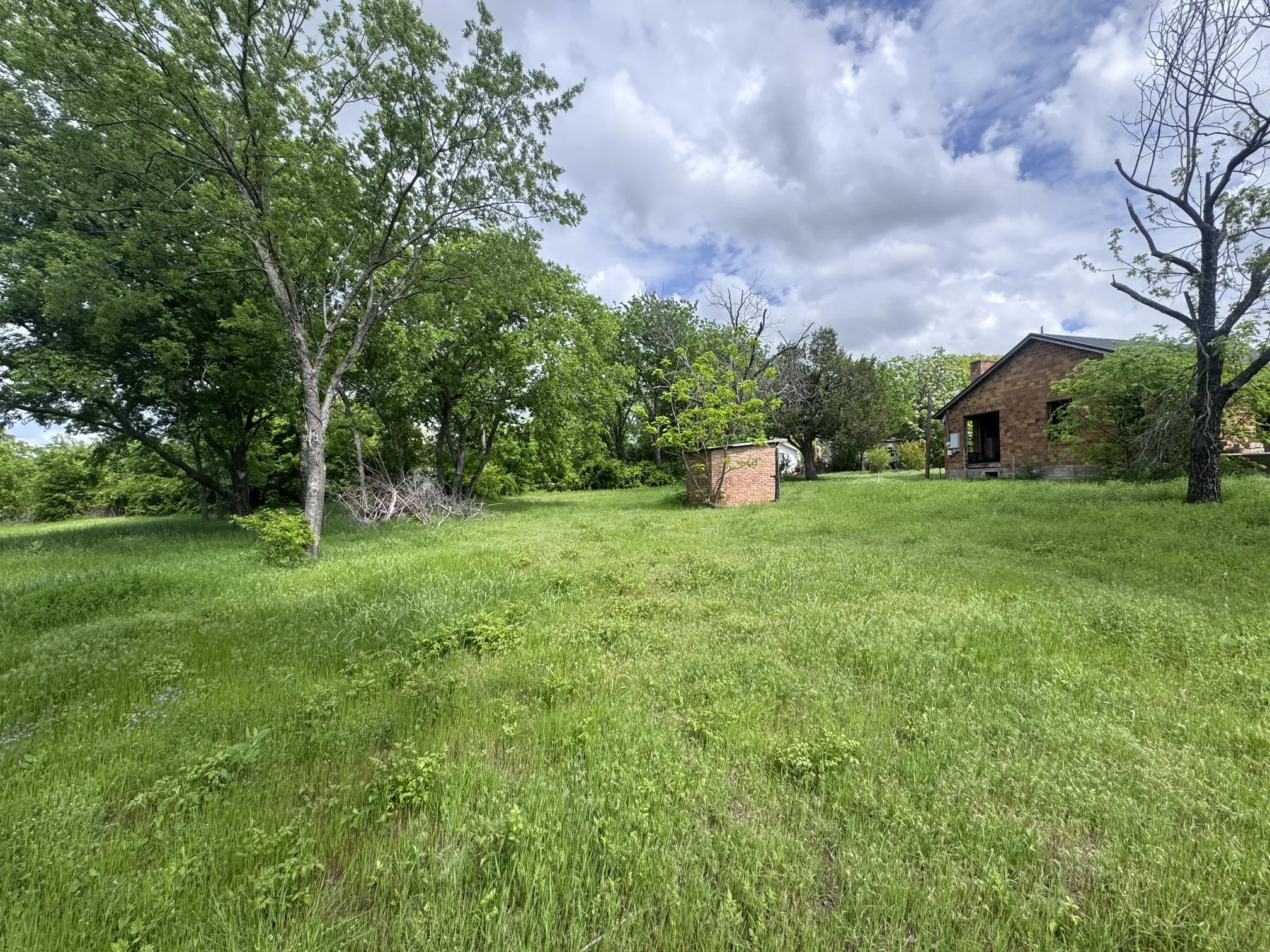 Expansive grassy yard with mature trees