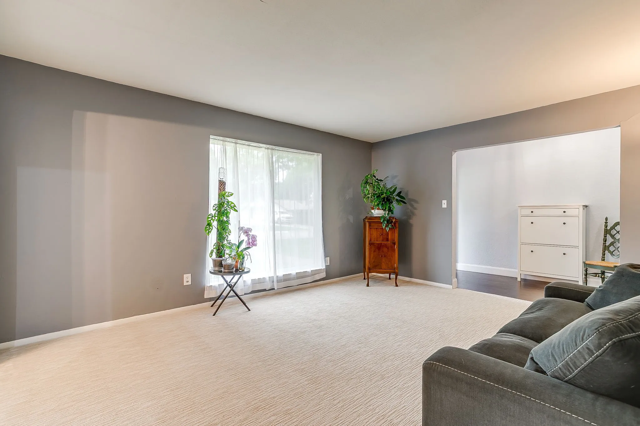 Carpeted living area featuring a large window with sheer white curtains, grey wall paint, and white baseboards