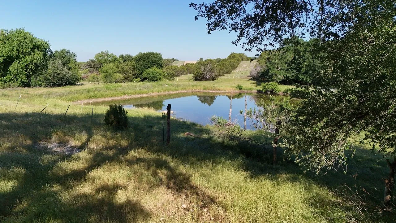 Natural pond surrounded by mature trees and lush green vegetation