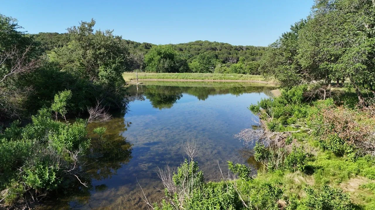 Natural pond with clear water, surrounded by dense green foliage and trees