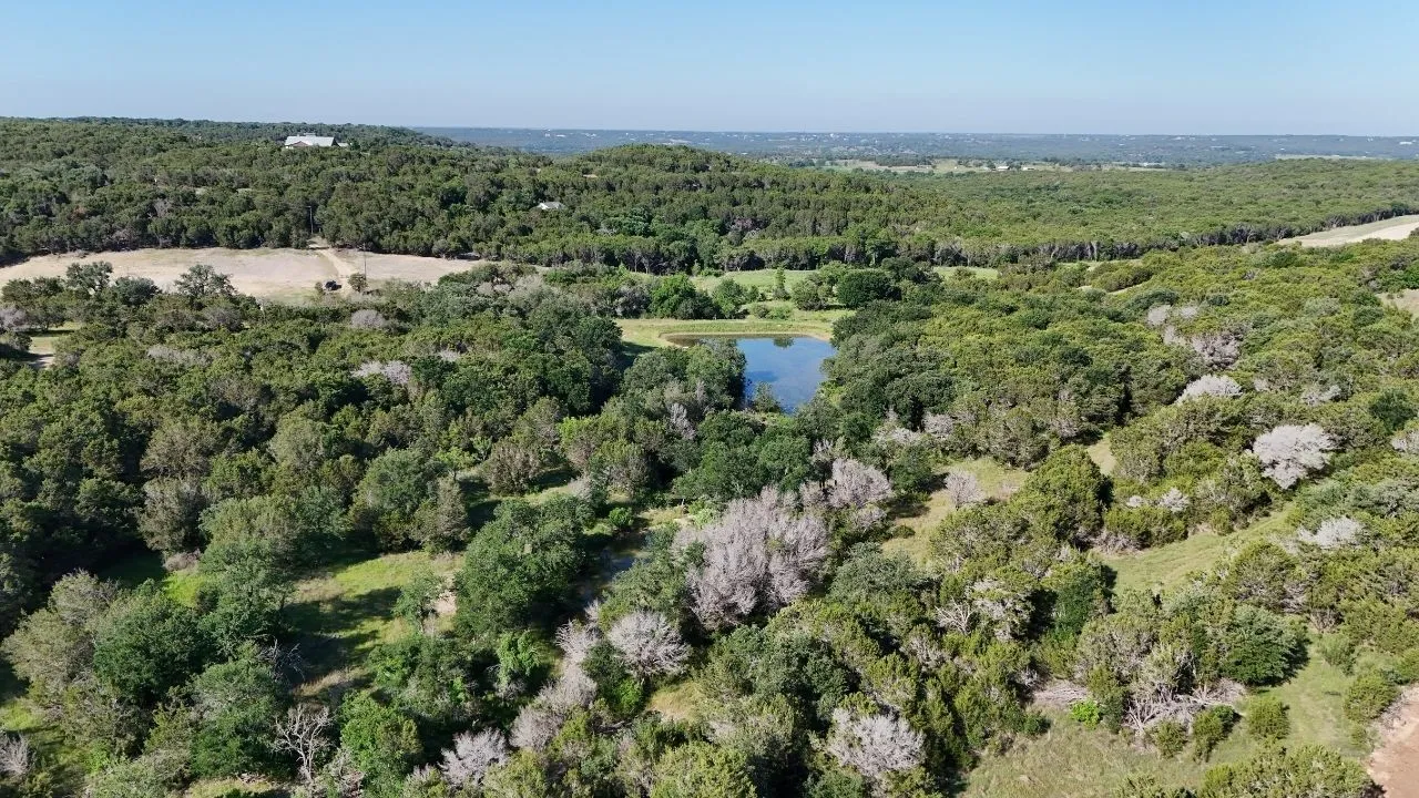 Expansive wooded acreage featuring a natural pond and varied terrain