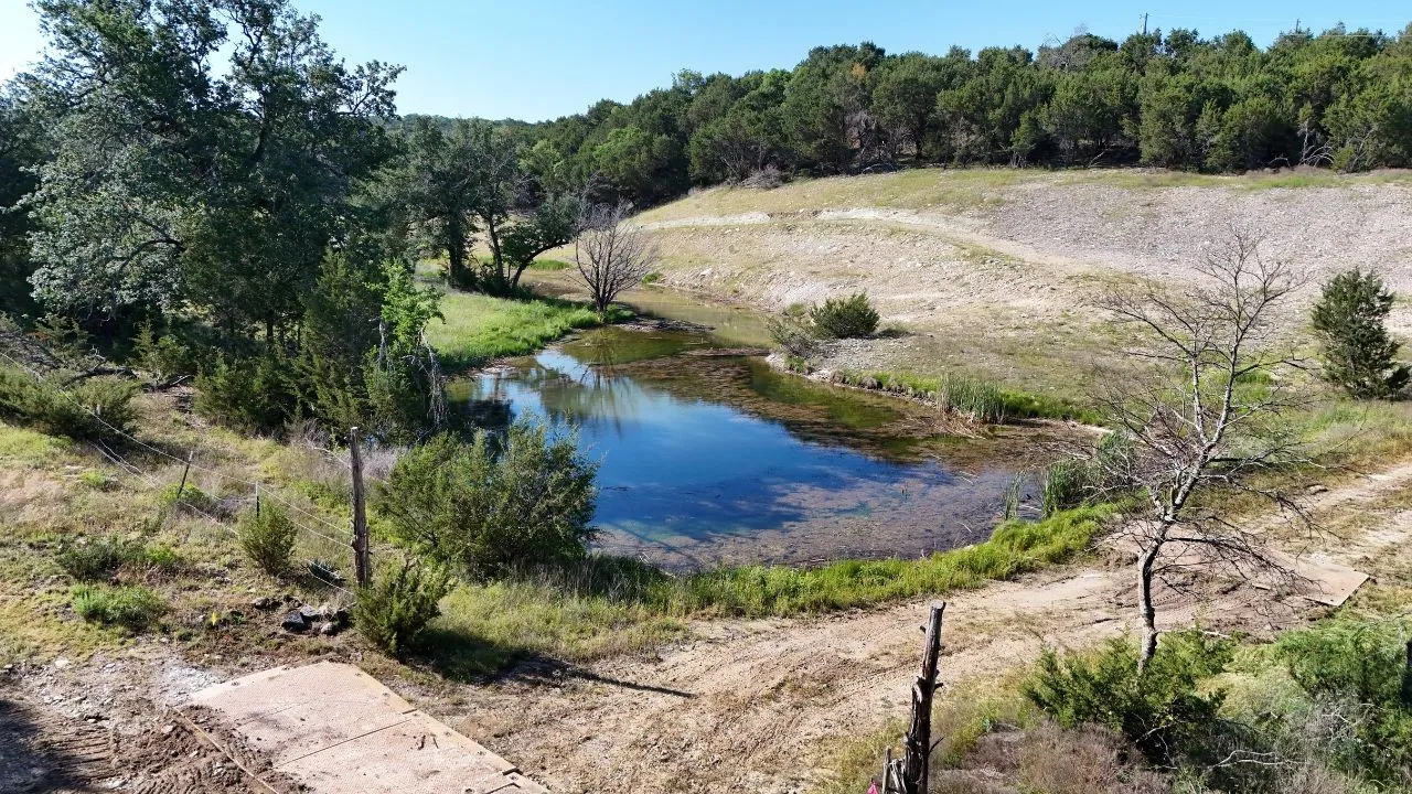 Natural pond featuring clear water and surrounding vegetation