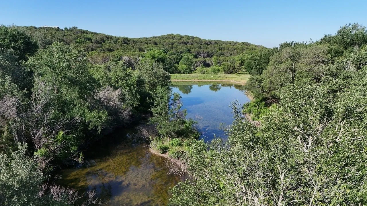 Natural water feature surrounded by dense, mature trees and varied green foliage