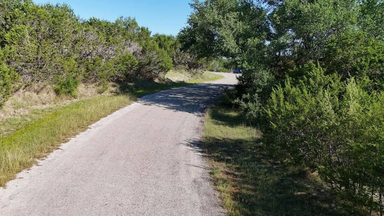 Paved road winding through natural landscaping with mature trees and native grasses