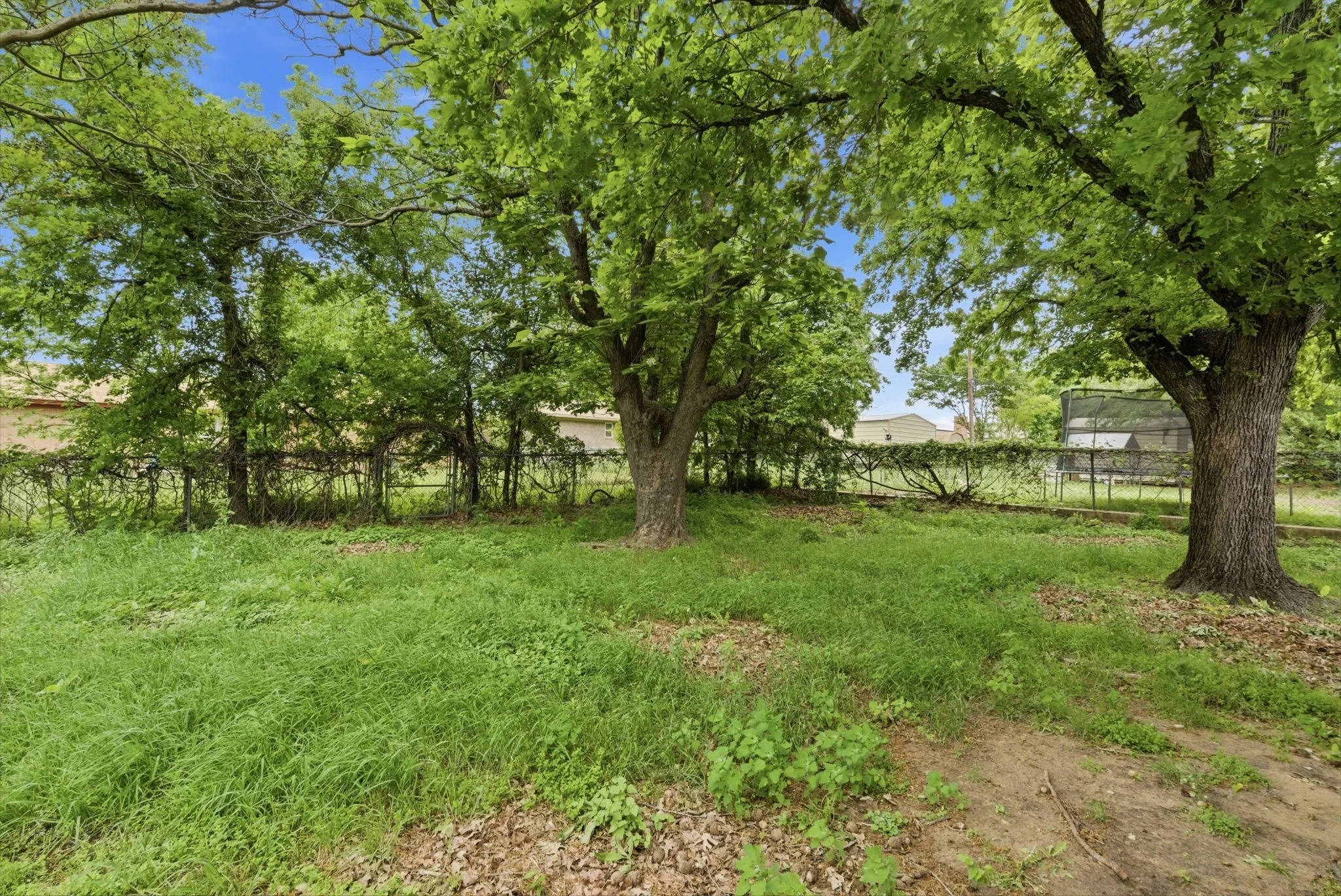 For Sale in Erath County , 209 Moonlight- Trail, Stephenville, Texas 76401, 3 Bedroom, 2 Bathroom, 2 Garage spaces, 0 Sqft, built in 1981, mls#21276346, Real Estate Agent in Stephenville, Homes For Sale in Erath county, Homes For Sale in Stephenville, Realtor in Stephenville Texas, Real Estate Brokerage Independent Realty Texas, Luminita Cordes Realtor