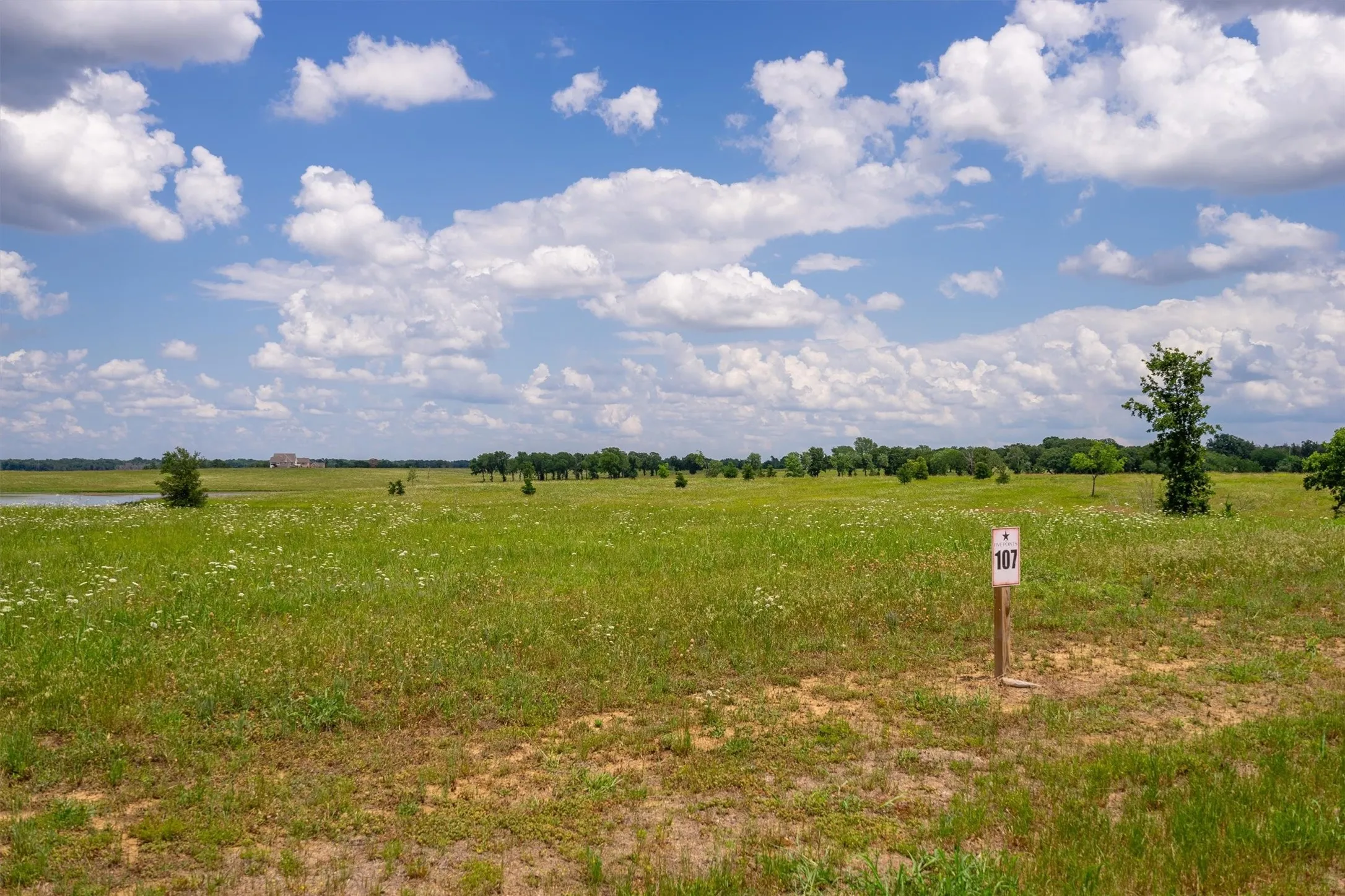 Improved Land For Sale in Fannin County , 220 Lakeshore Lane, Windom, Texas 75492, 0, 0, Garage spaces, 0 Sqft, built in 0, mls#21276242, Real Estate Agent in Windom, Homes For Sale in Fannin county, Homes For Sale in Windom, Realtor in Windom Texas, Real Estate Brokerage Independent Realty Texas, Luminita Cordes Realtor